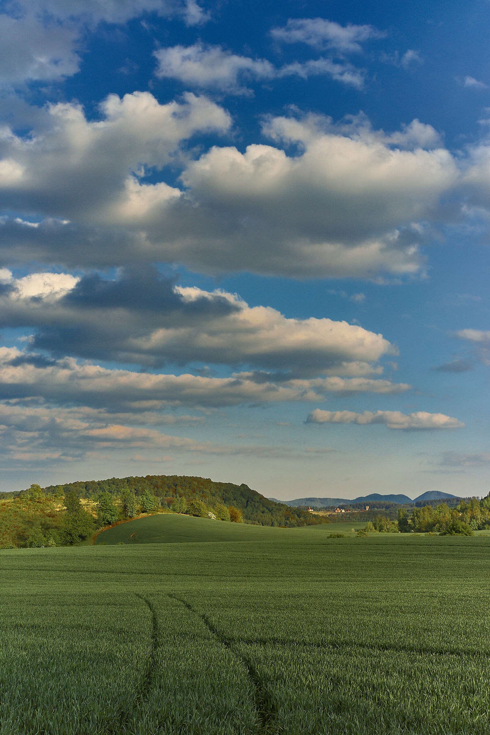Paesaggio 1 - montagna Trojgarb