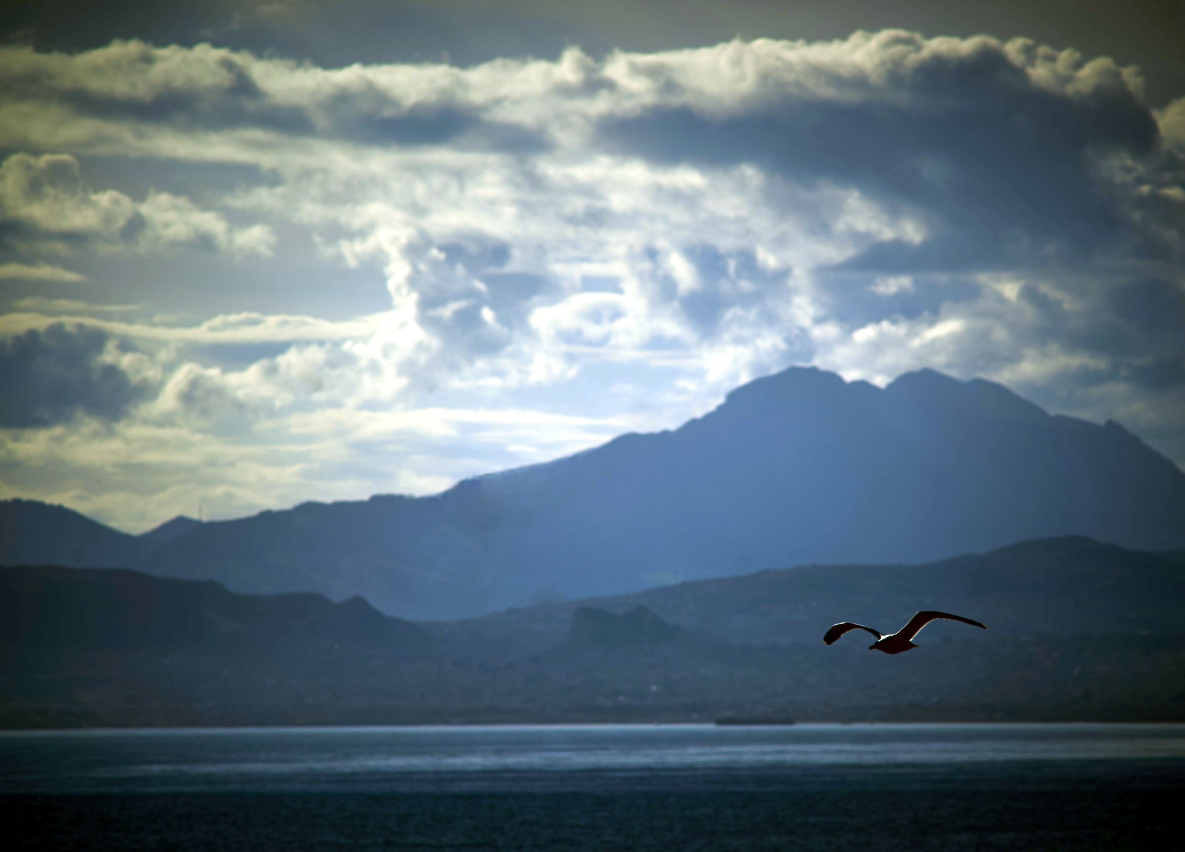 Il volo nell' ora blu