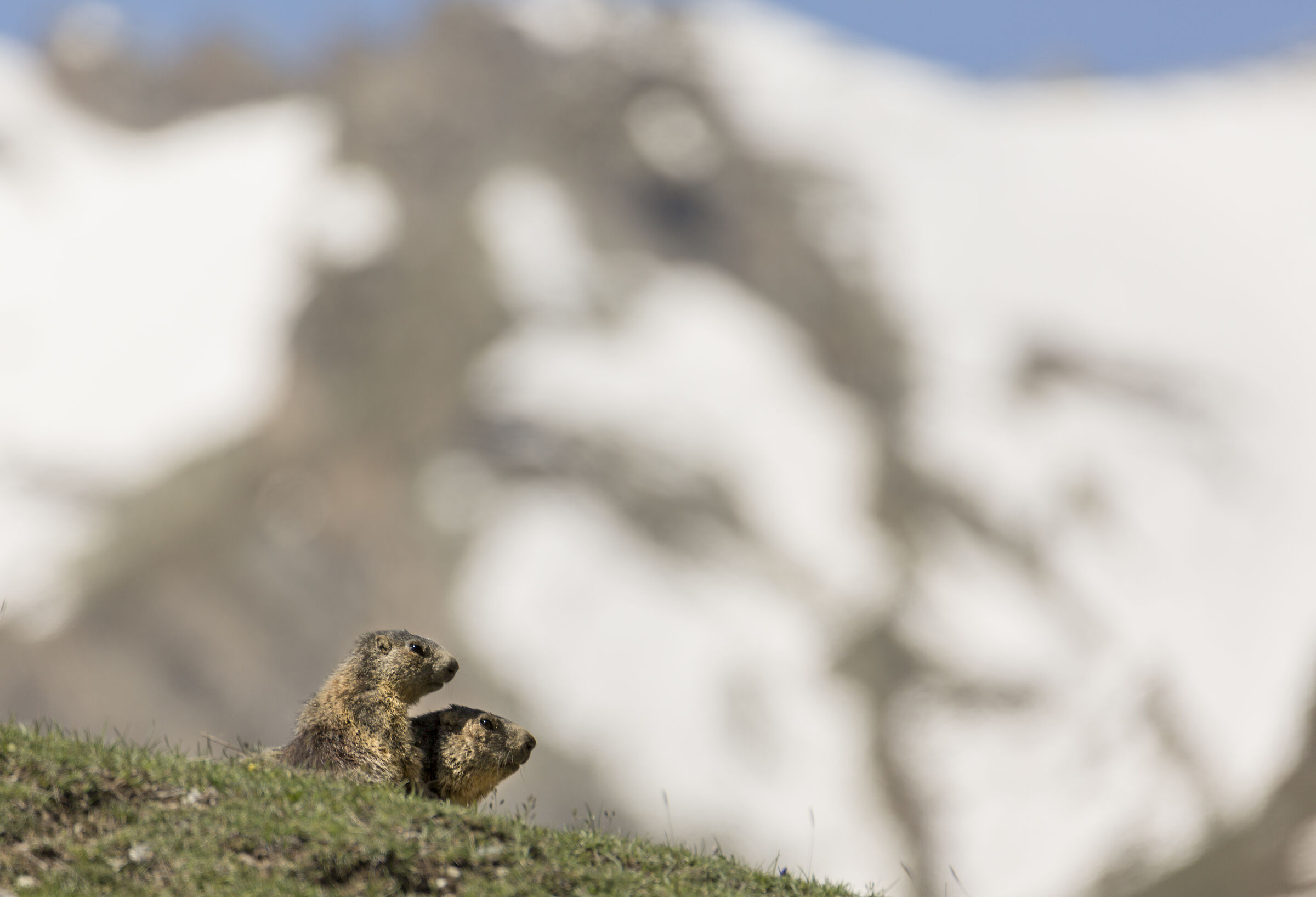 hibernation finished....