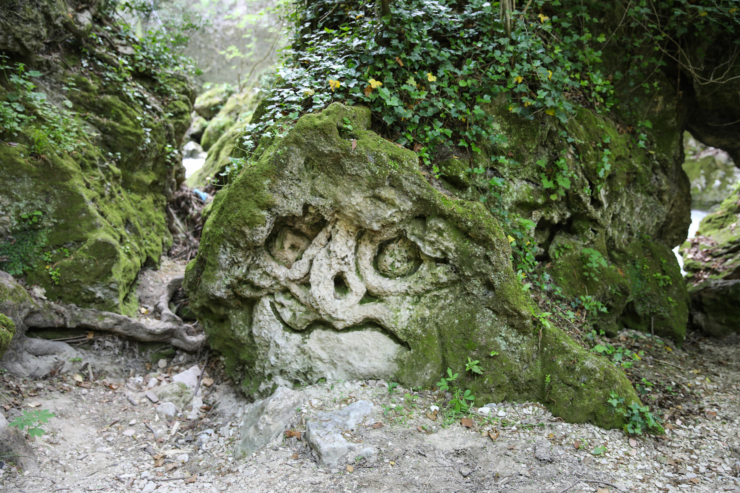 Face 2 " Li Vurgacci"