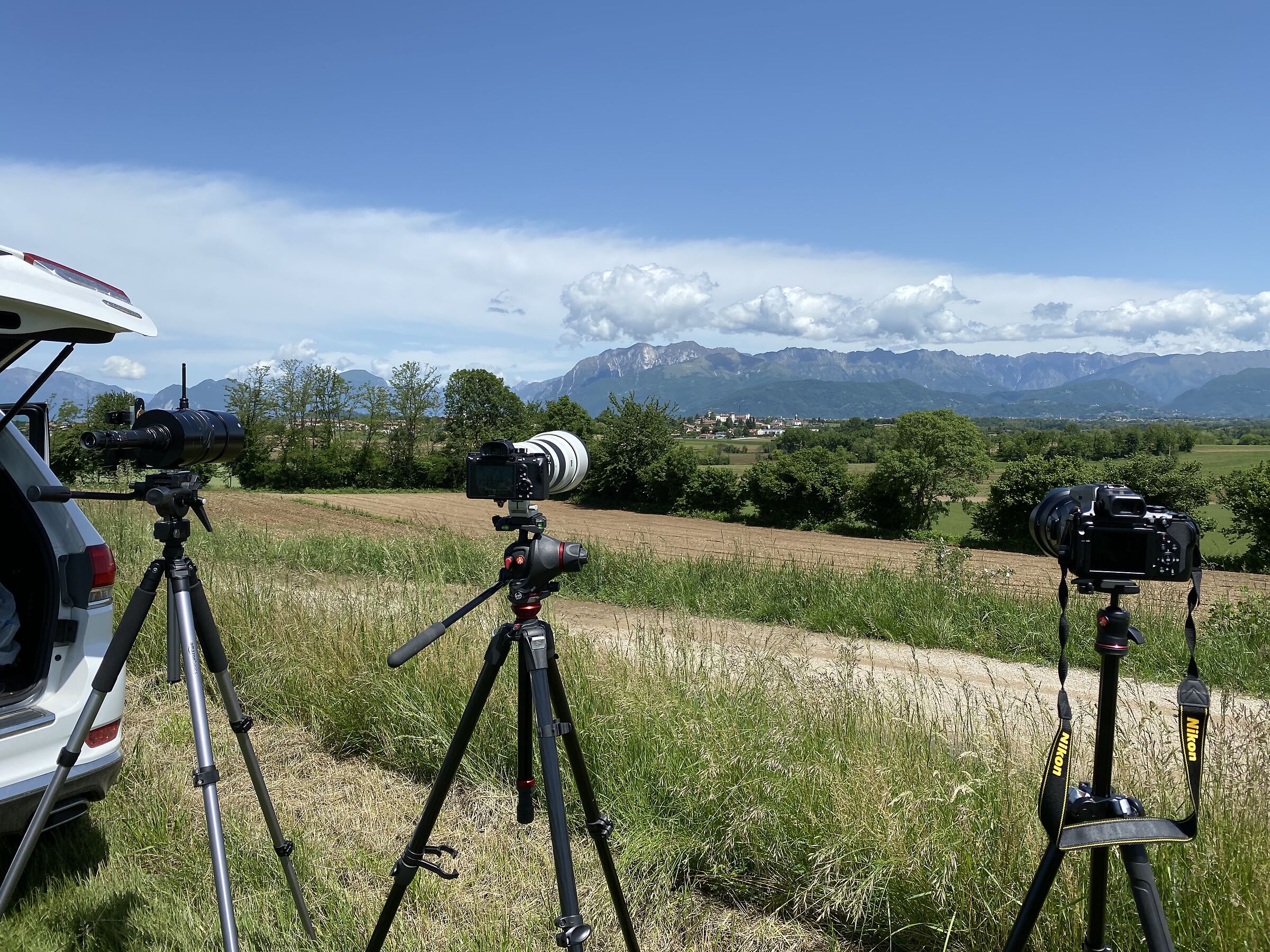 the three thanks from behind