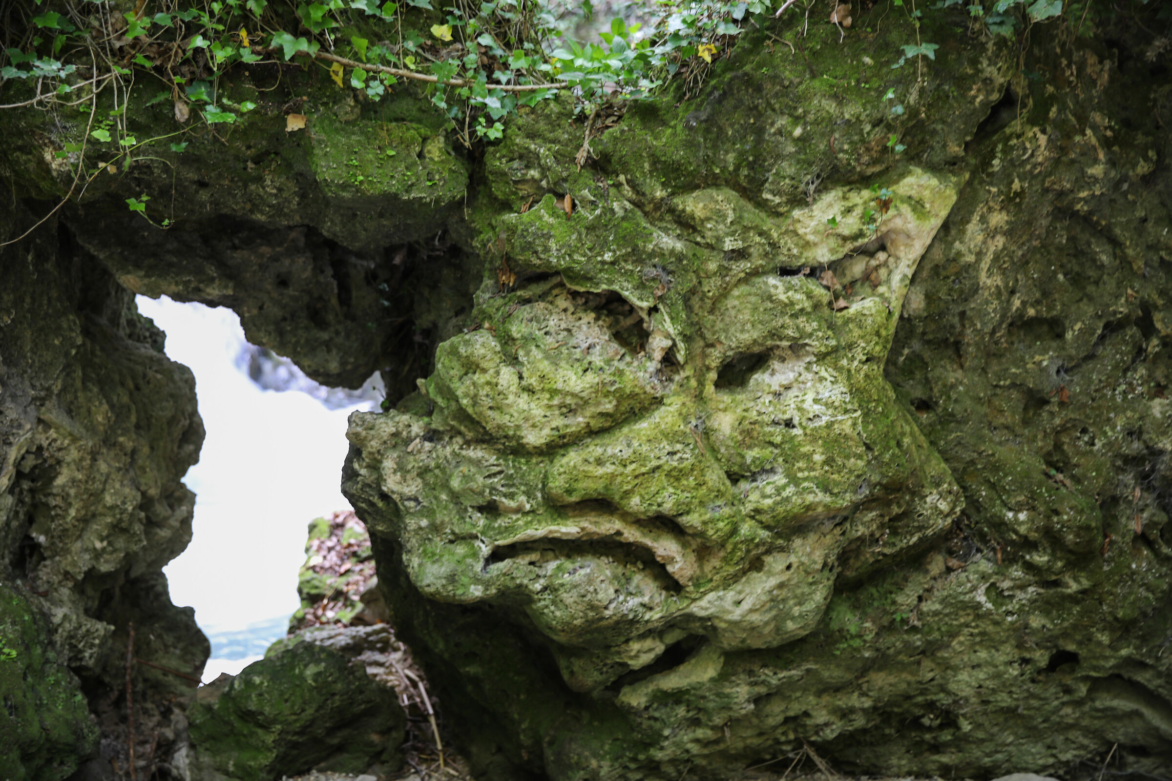 Face 3 "There Vurgacci"