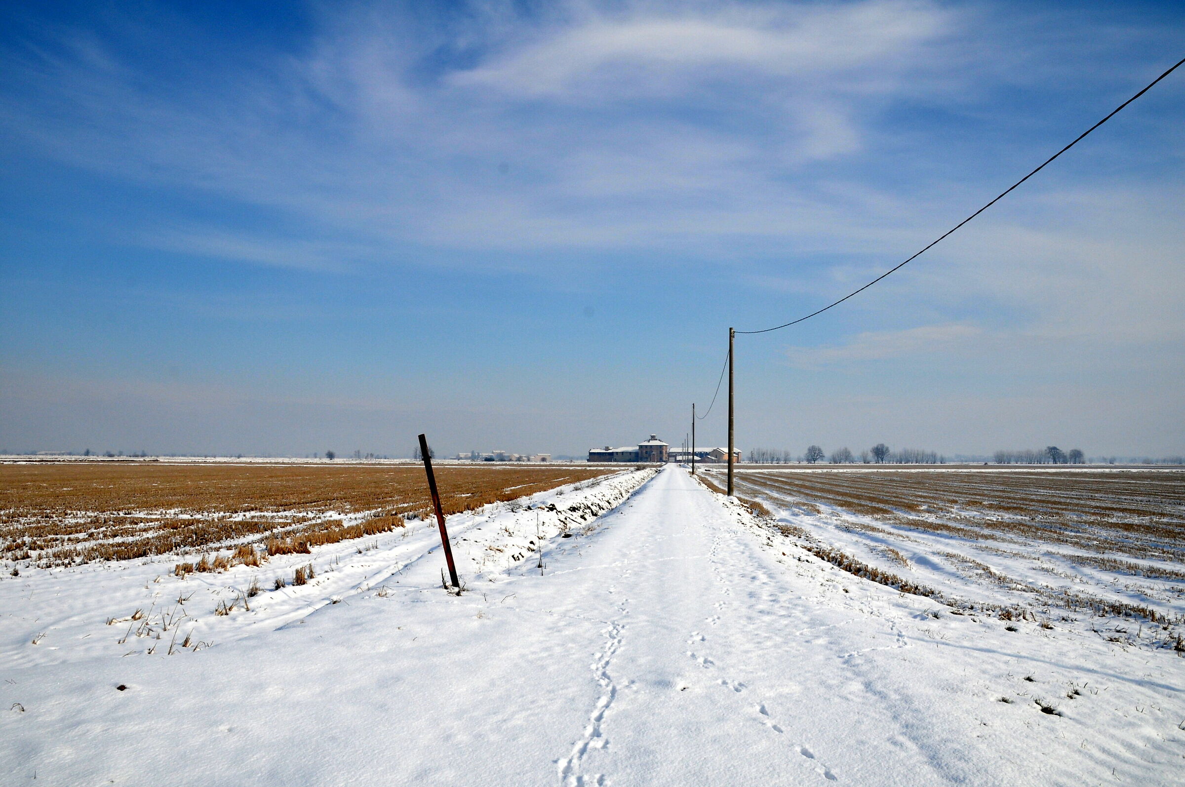 inverno fra le risaie