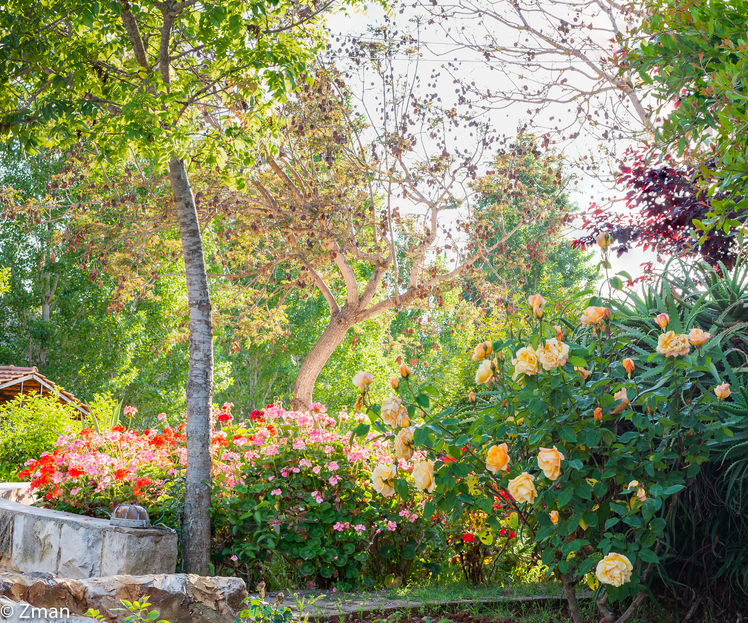 Lockdown Nel nostro Rifugio del Sud