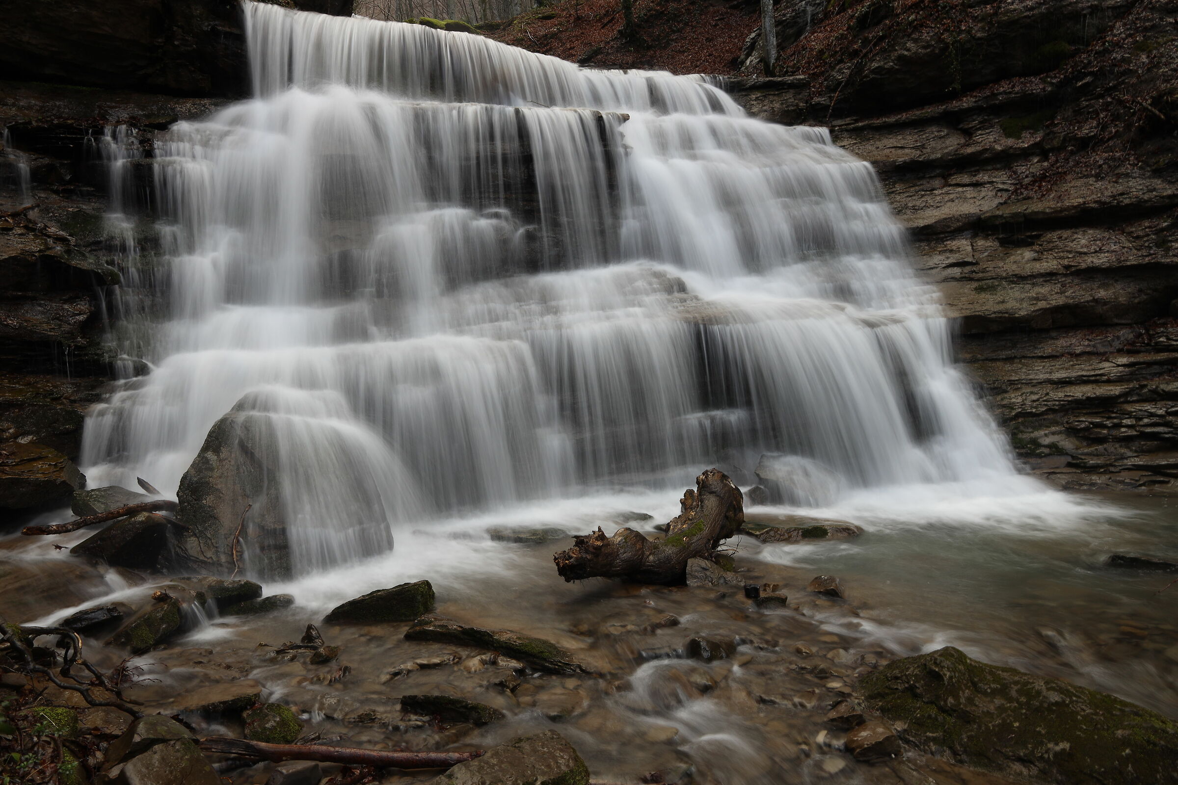 The Waterfalls of the Shed