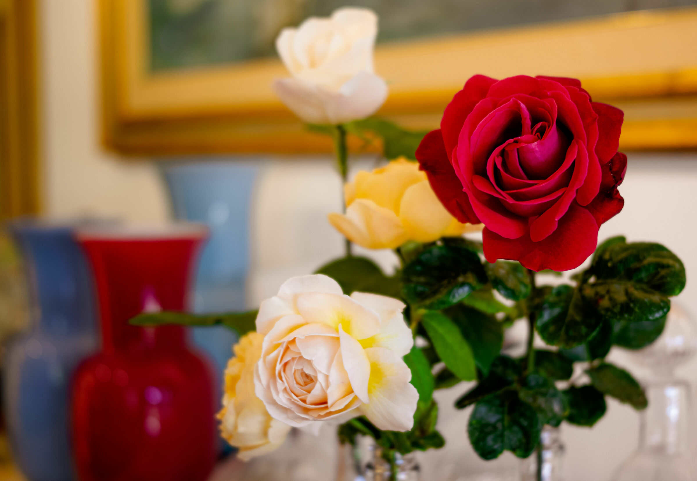 Rose