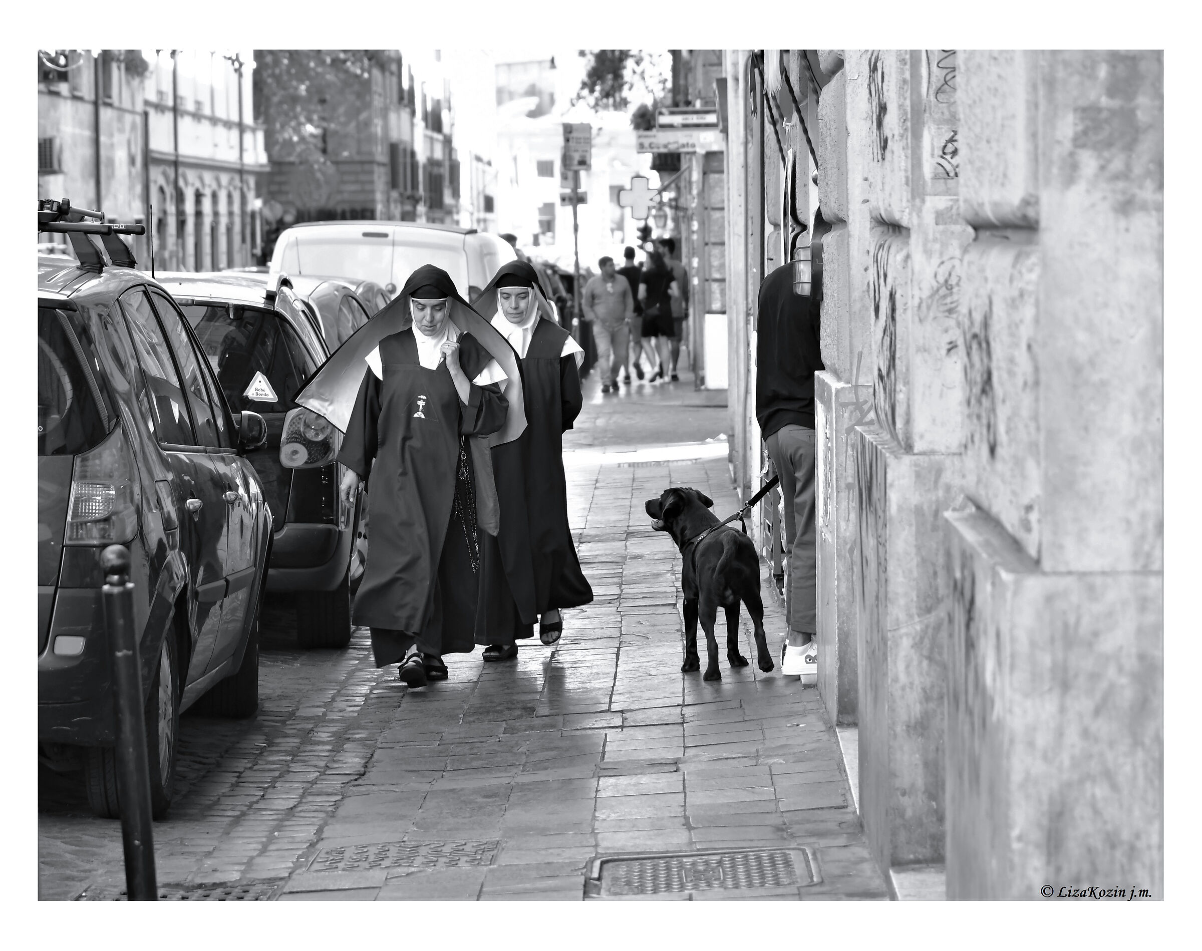 Trastevere. Rome