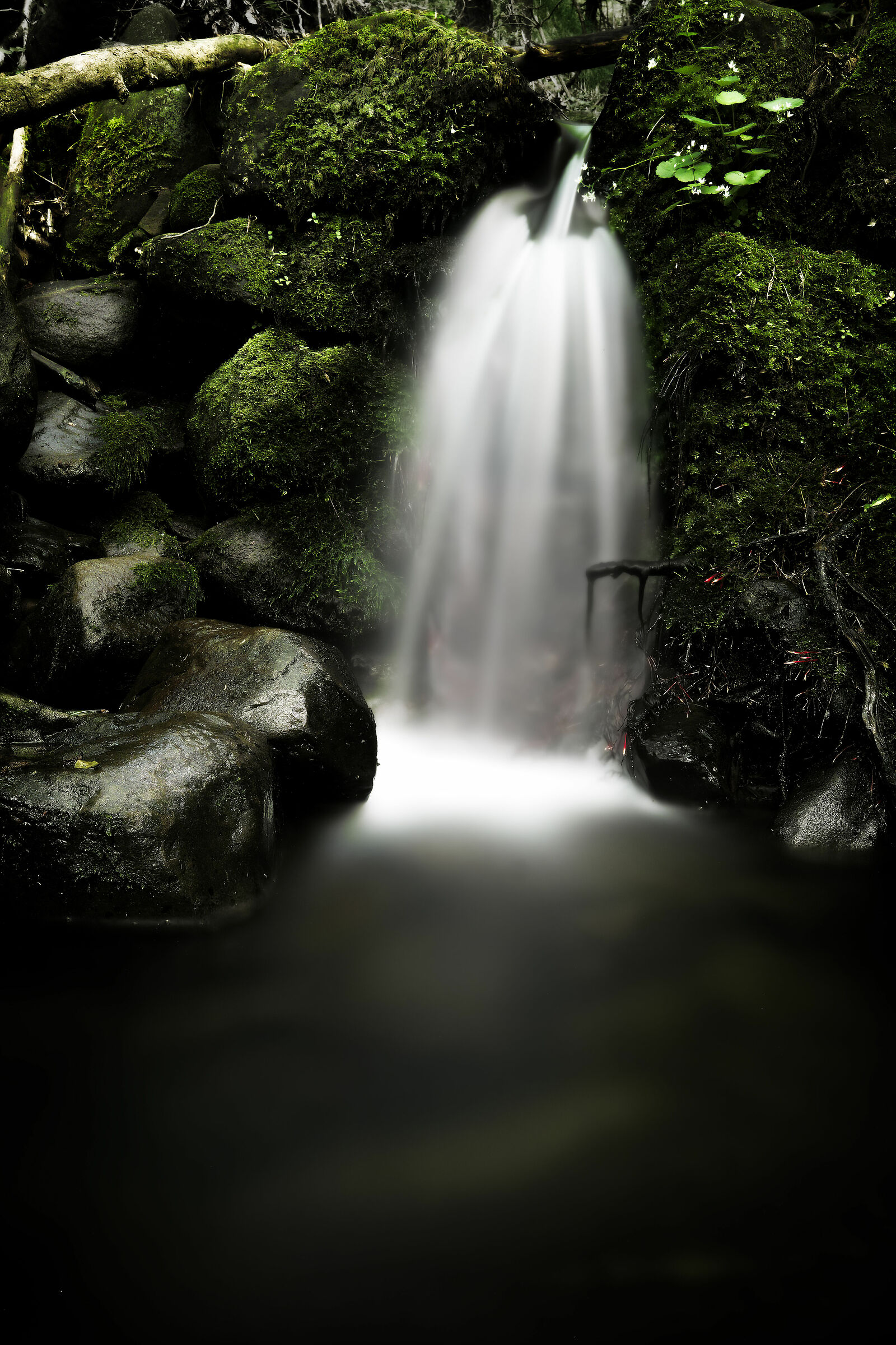 Untitled Photo