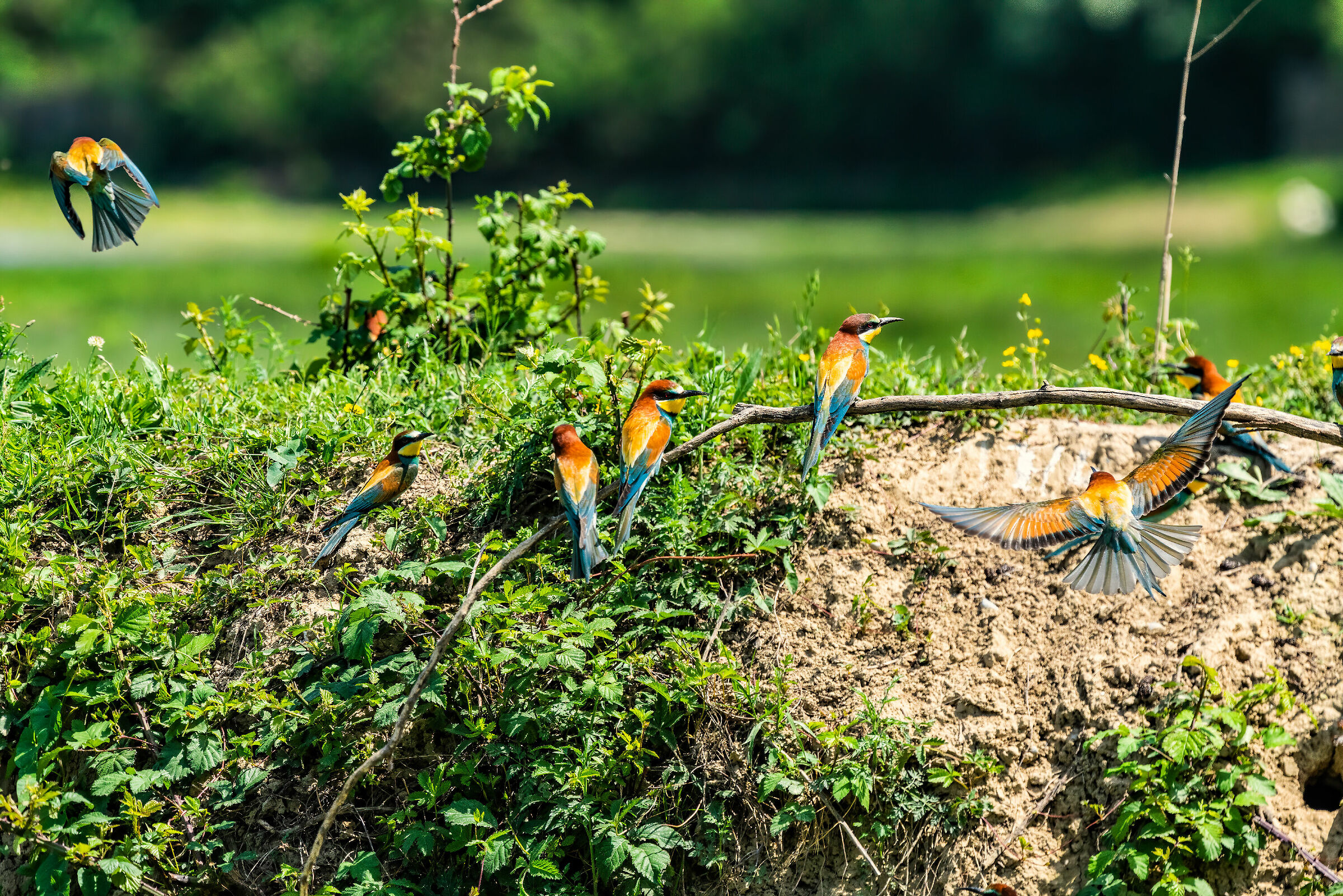 Group of bundles 2020