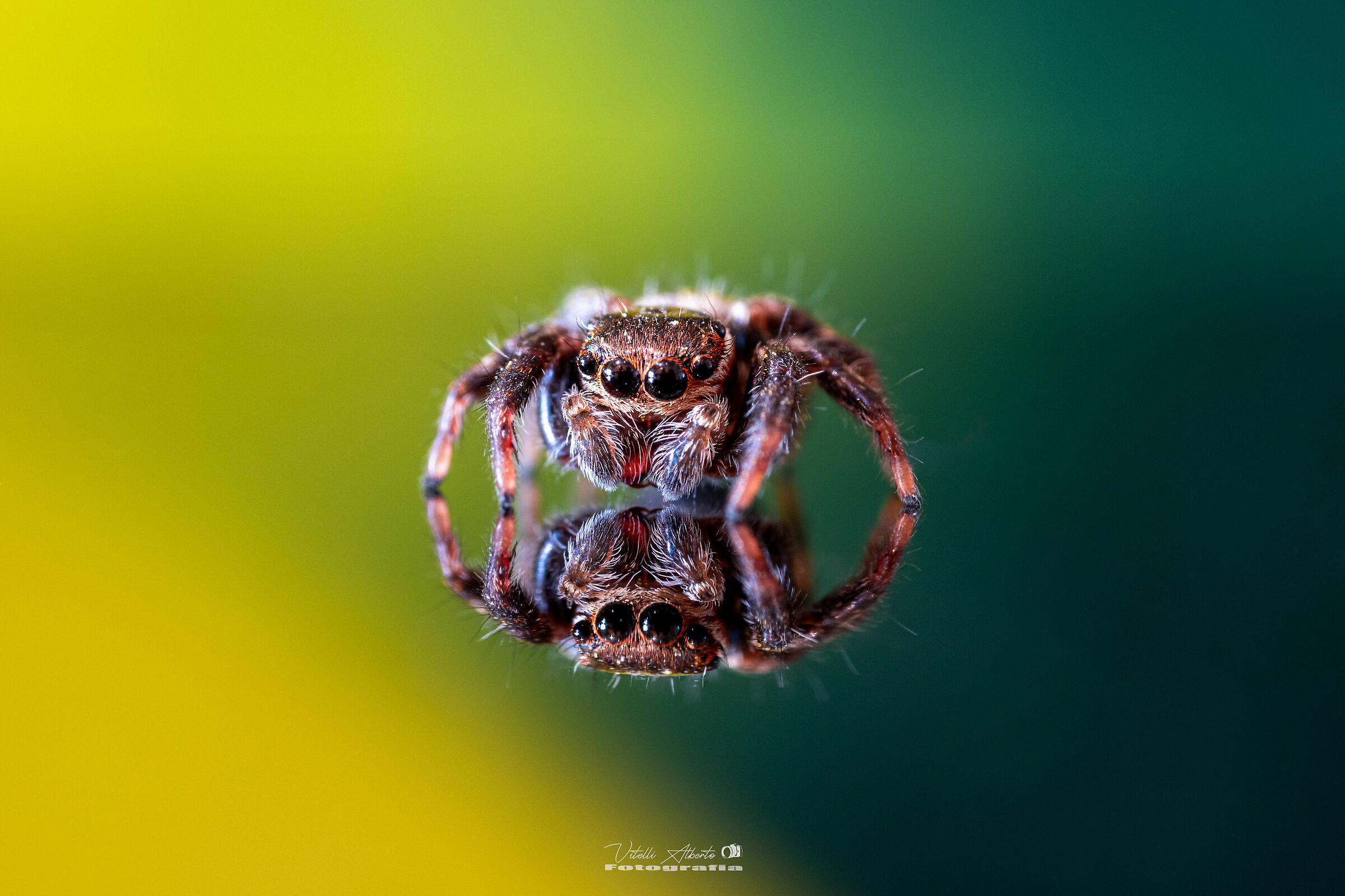 But who's that guy in the mirror... Aaa is me!