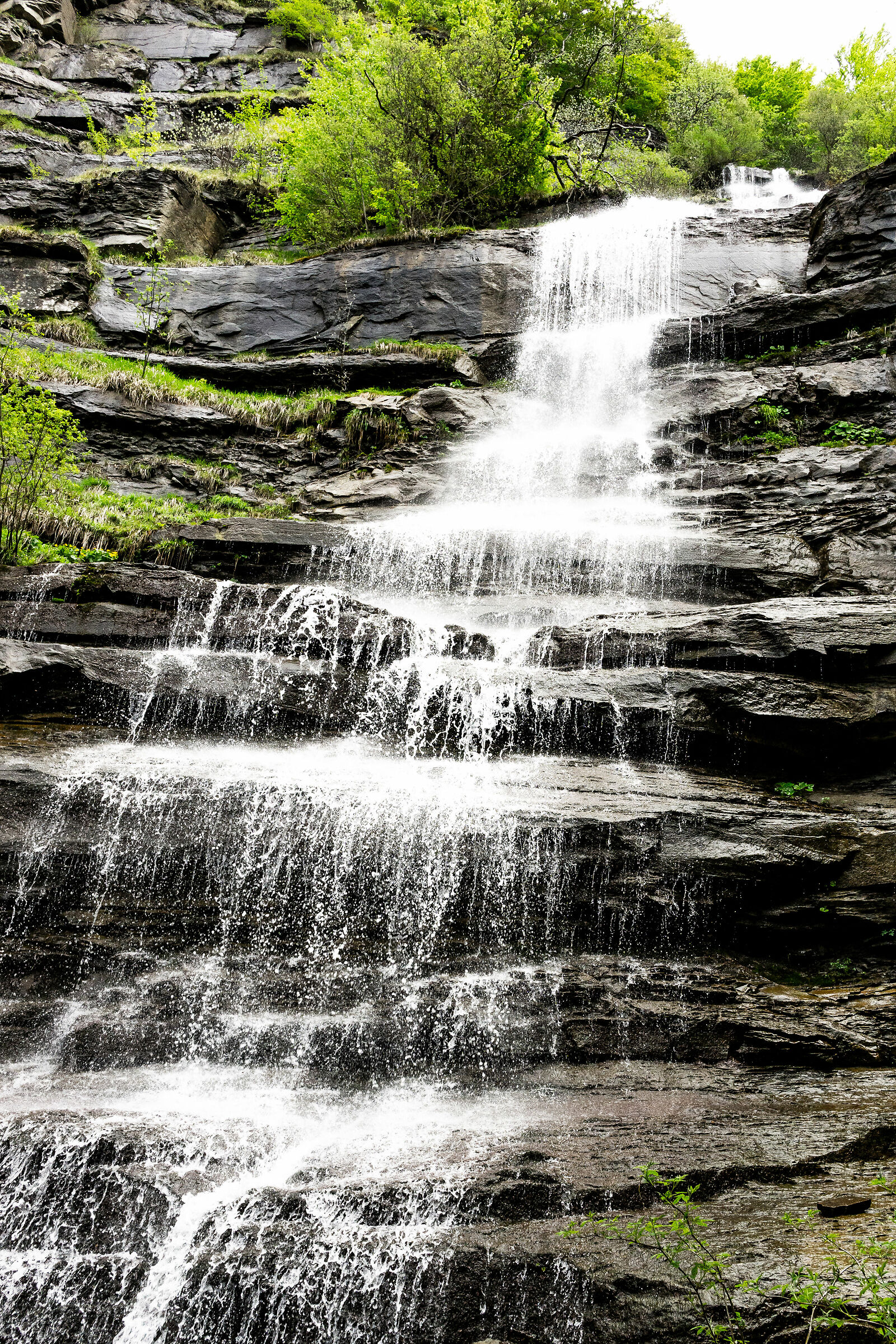 Parco delle Foreste Casentinesi - Cascata del Piscino