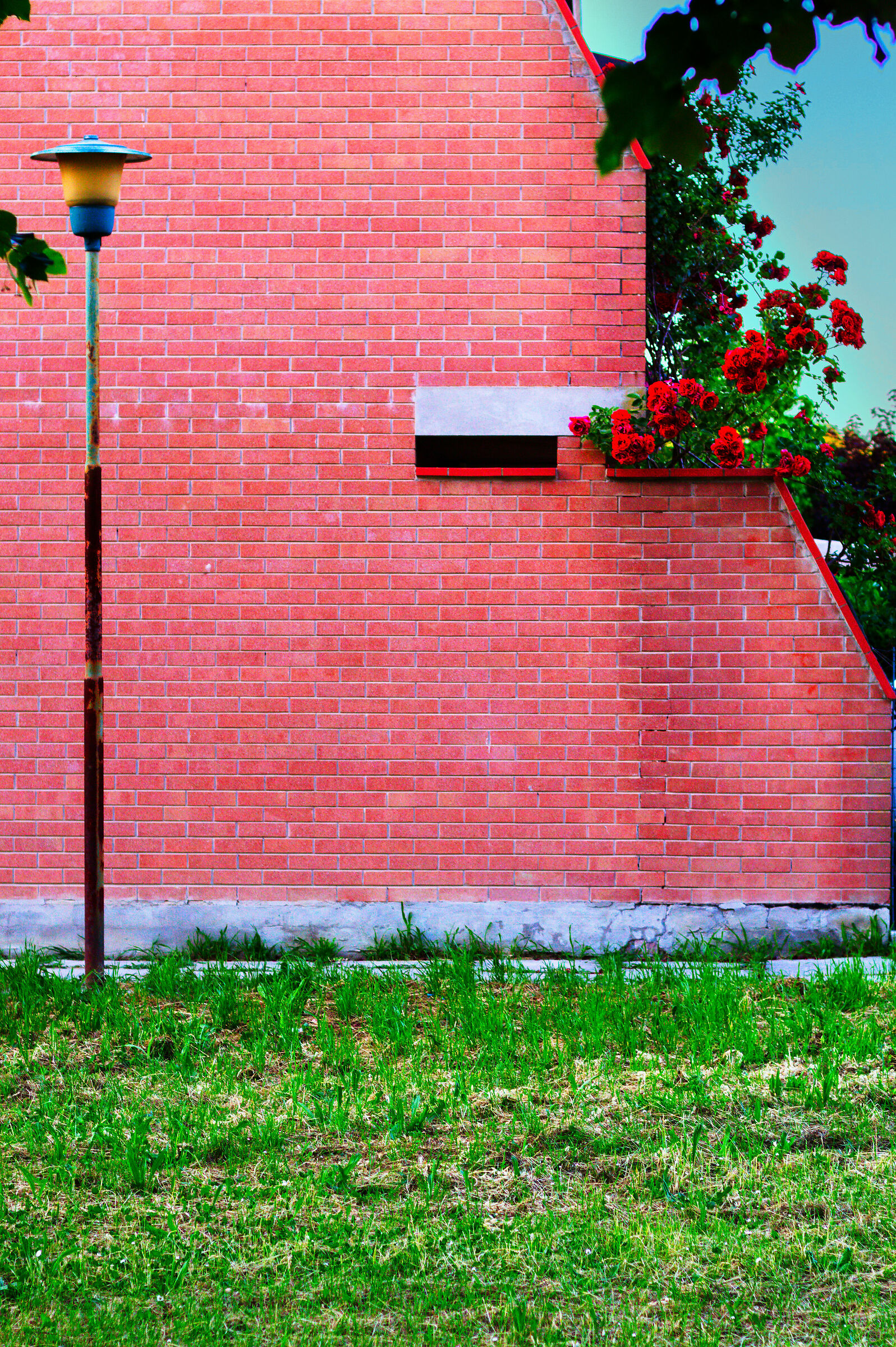 Ultima foto con 1300d