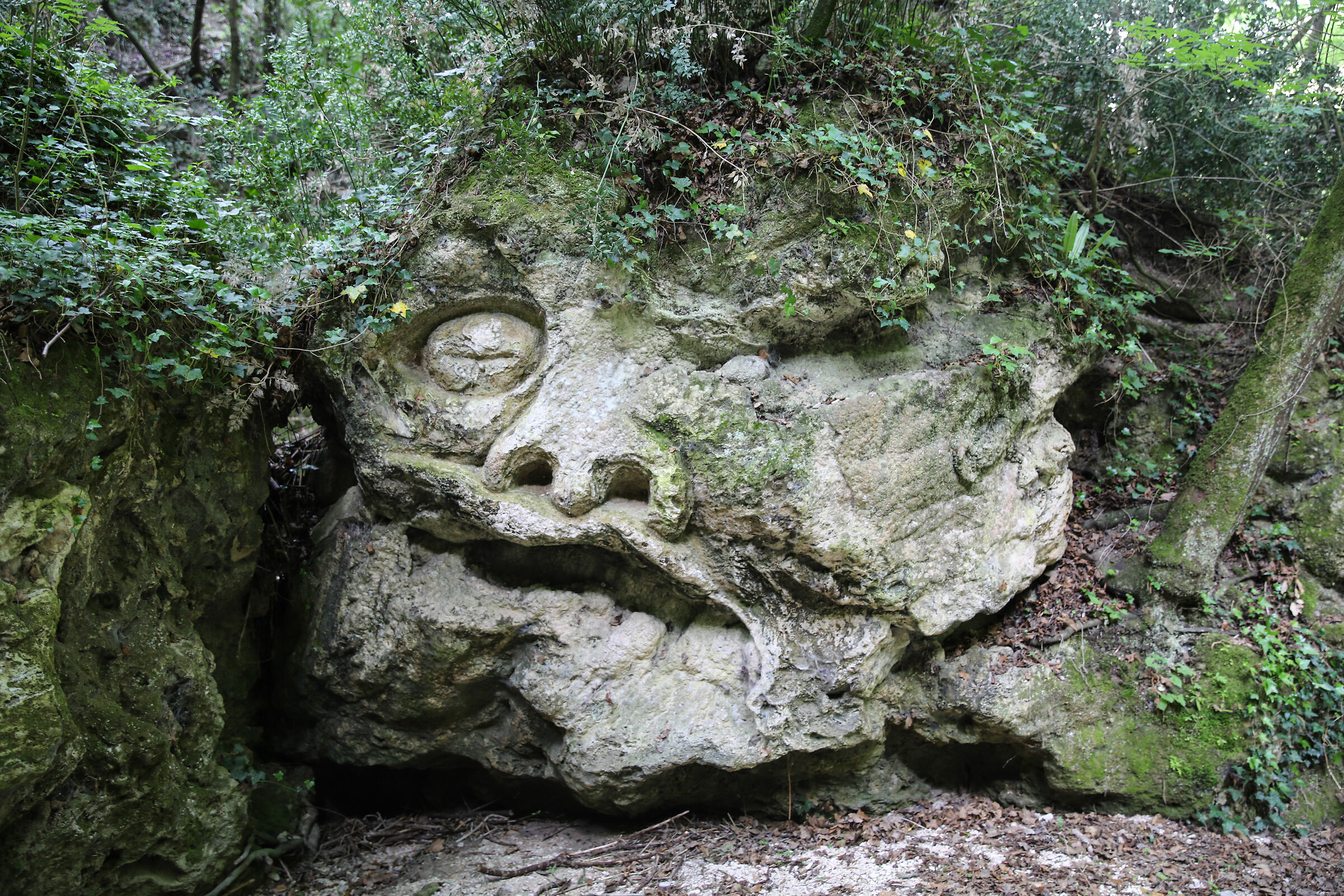 Face 4 " Li Vurgacci"