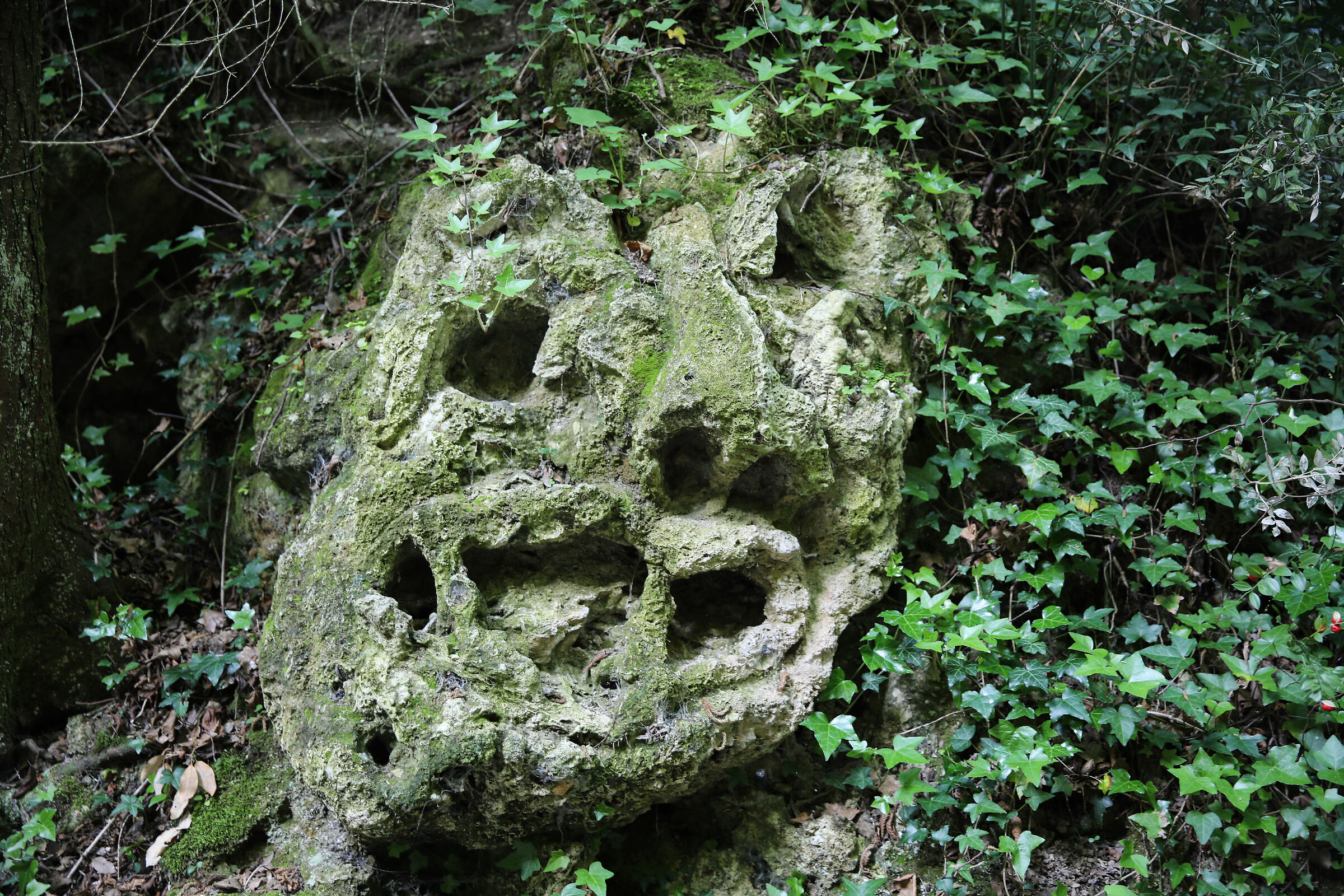 Face 5 "There Vurgacci"