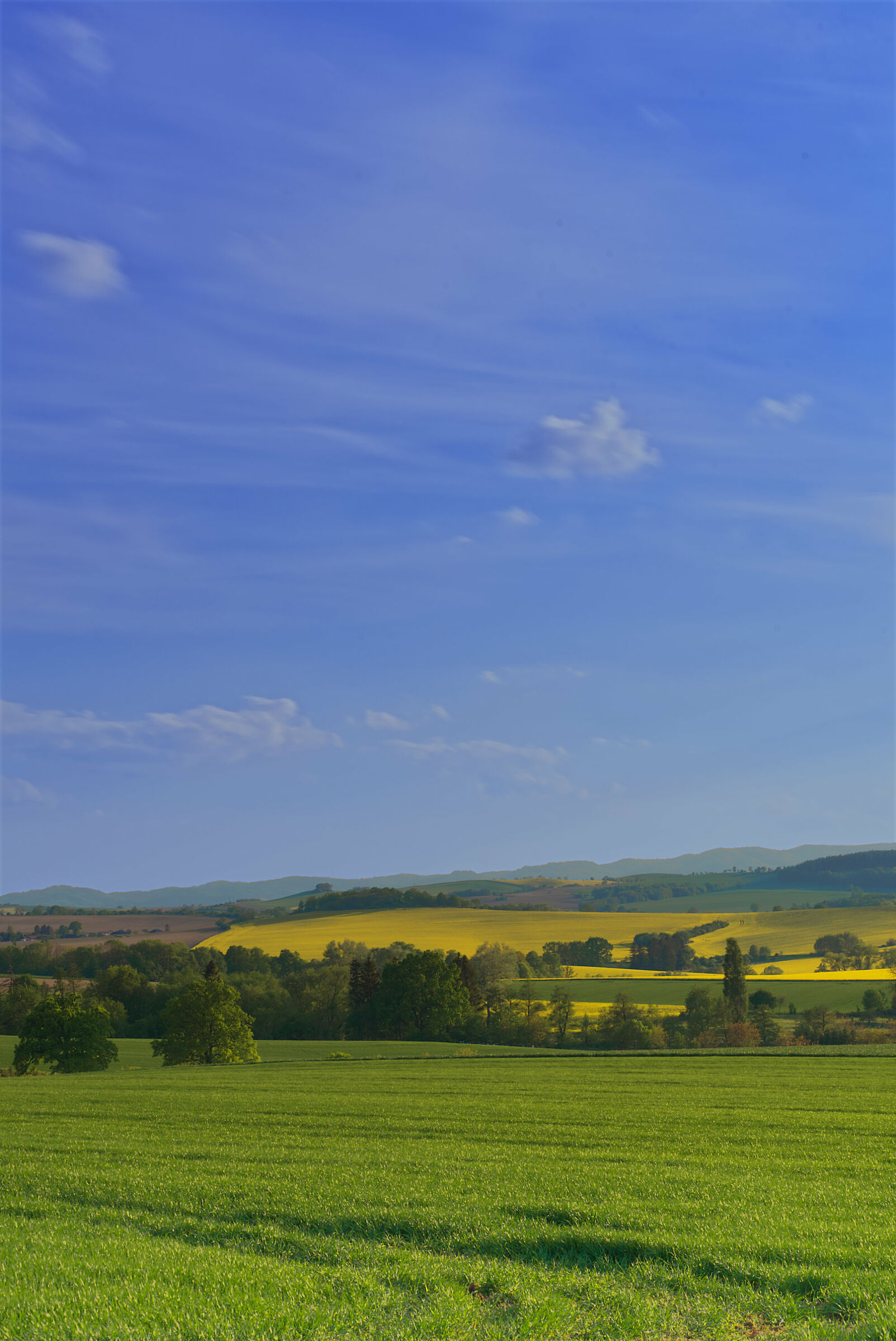 Paesaggio - montagne Sudety