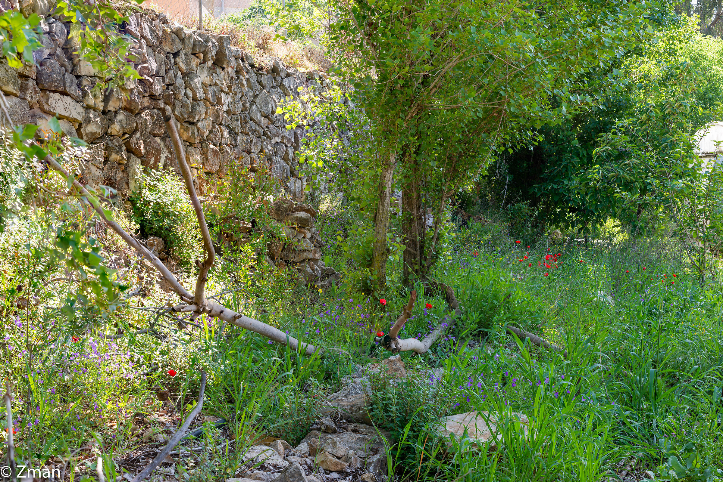 Lockdown Nel nostro Rifugio del Sud