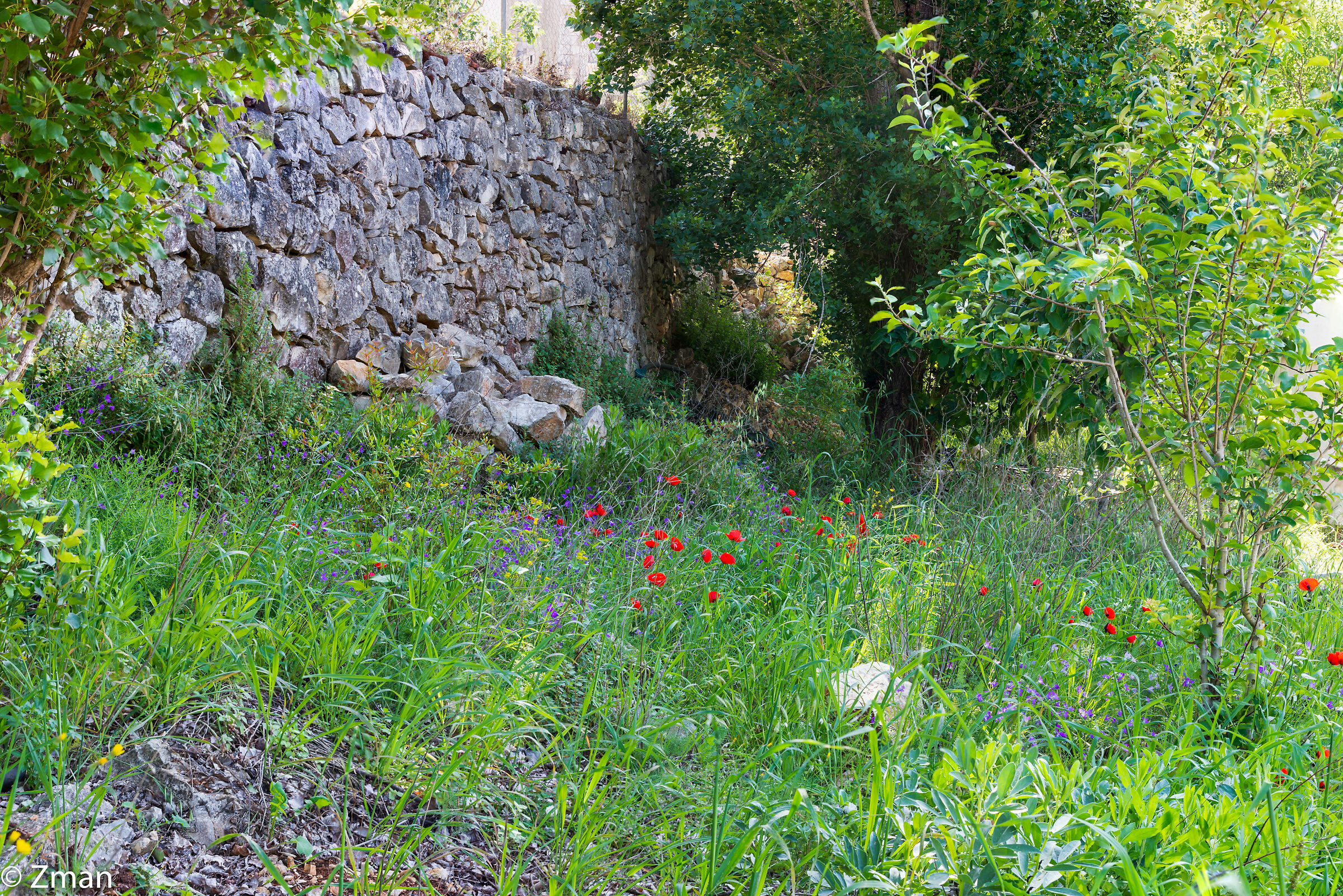 Lockdown Nel nostro Rifugio del Sud