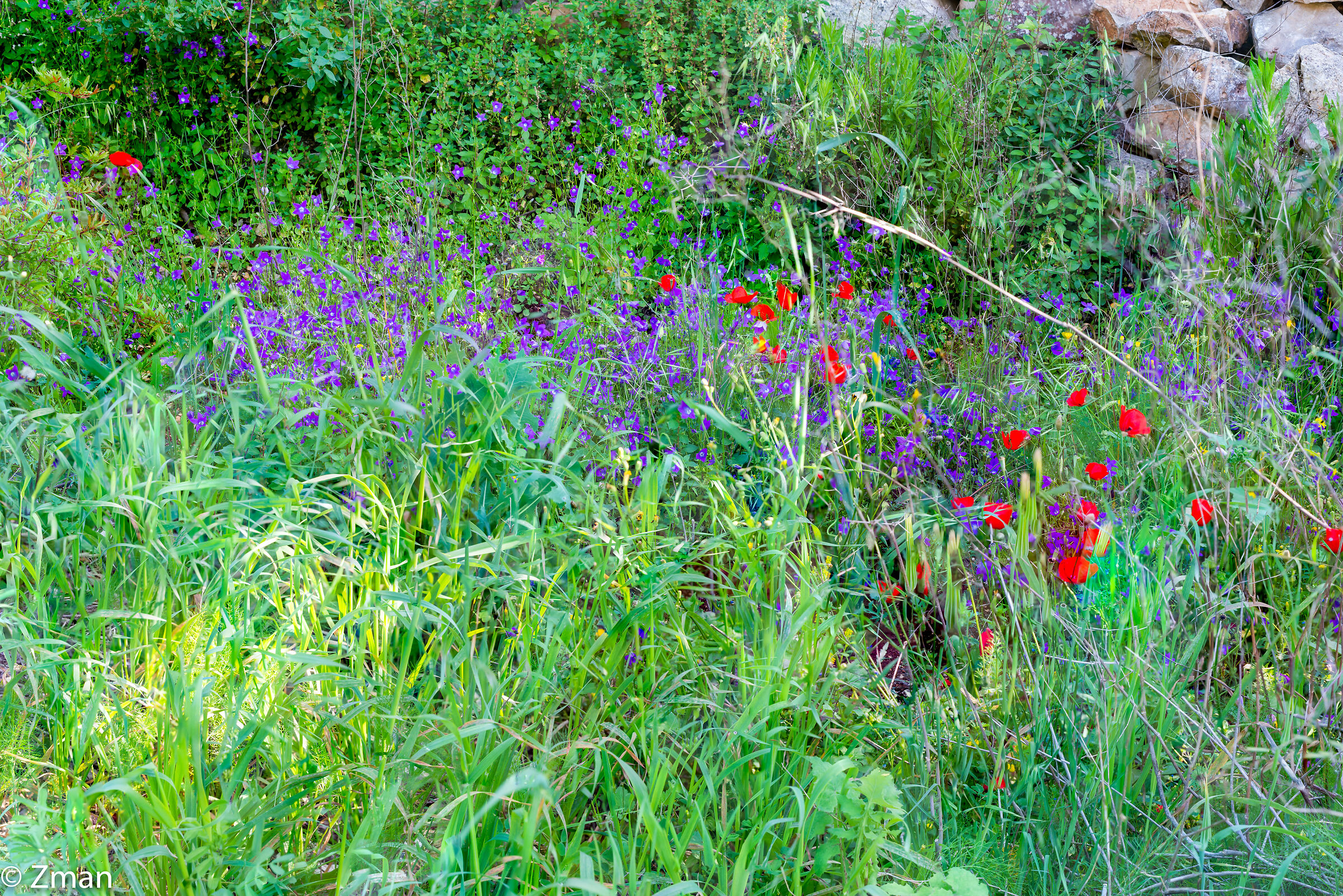 Lockdown Nel nostro Rifugio del Sud