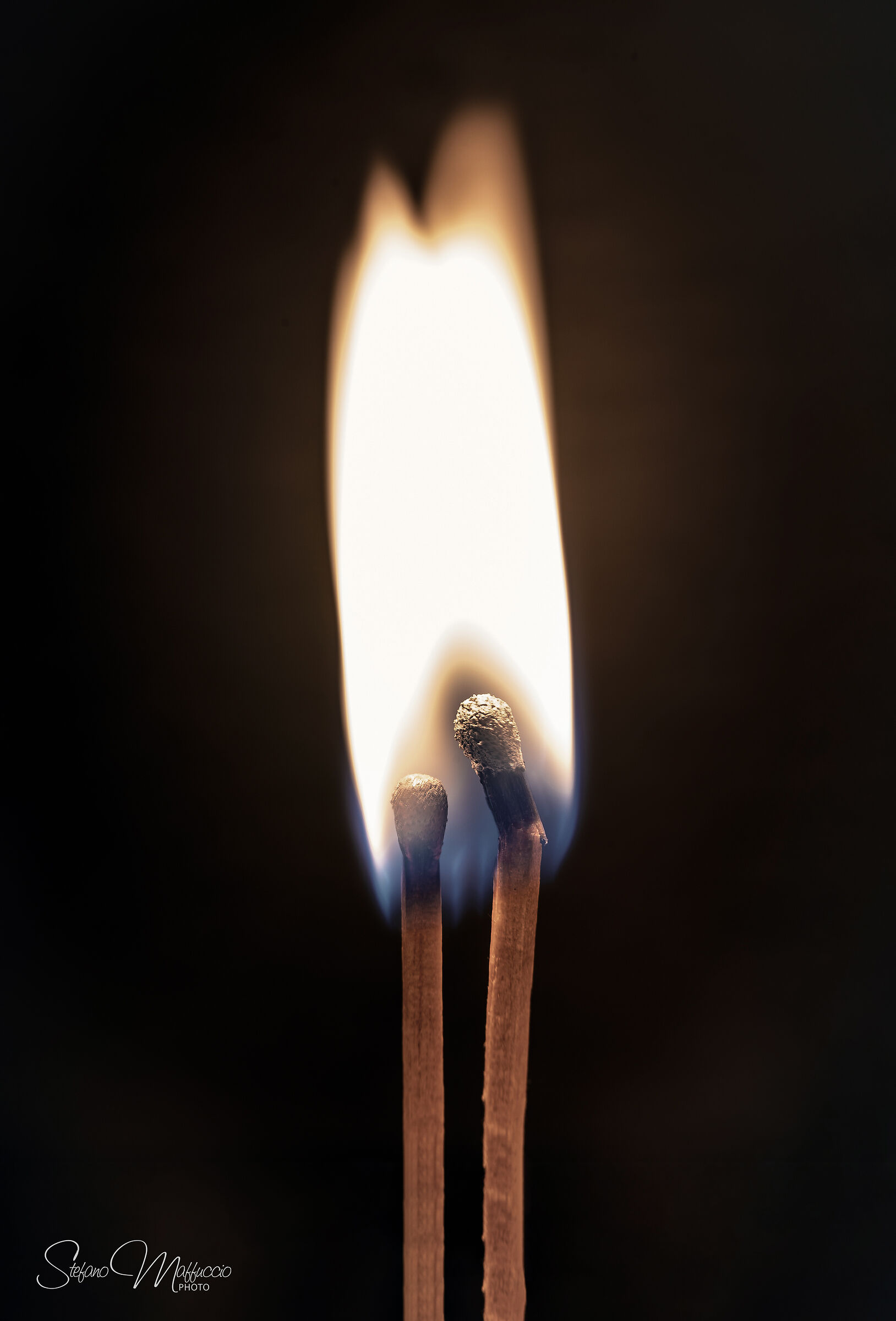 Untitled Photo