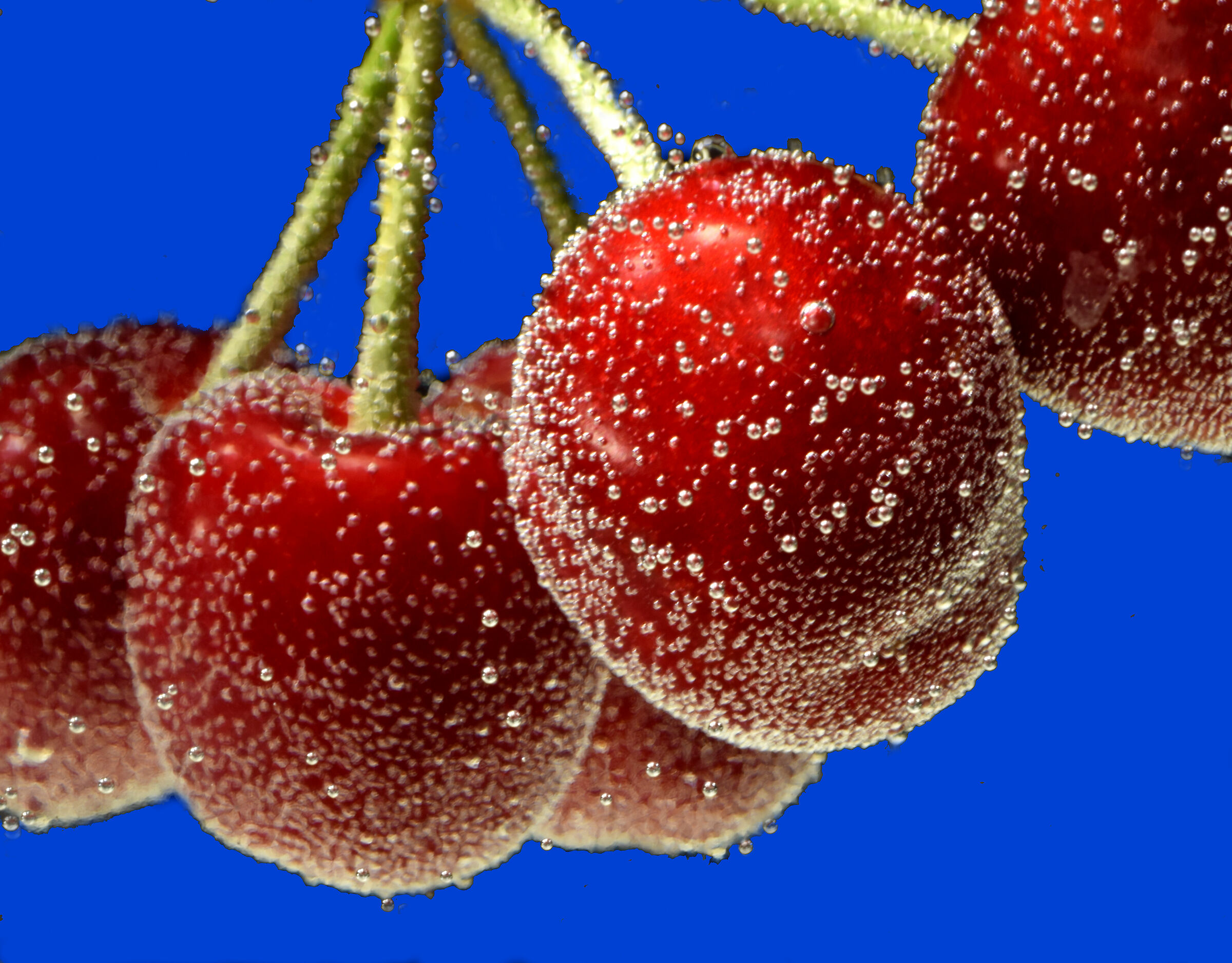 ciliegie bollicinose