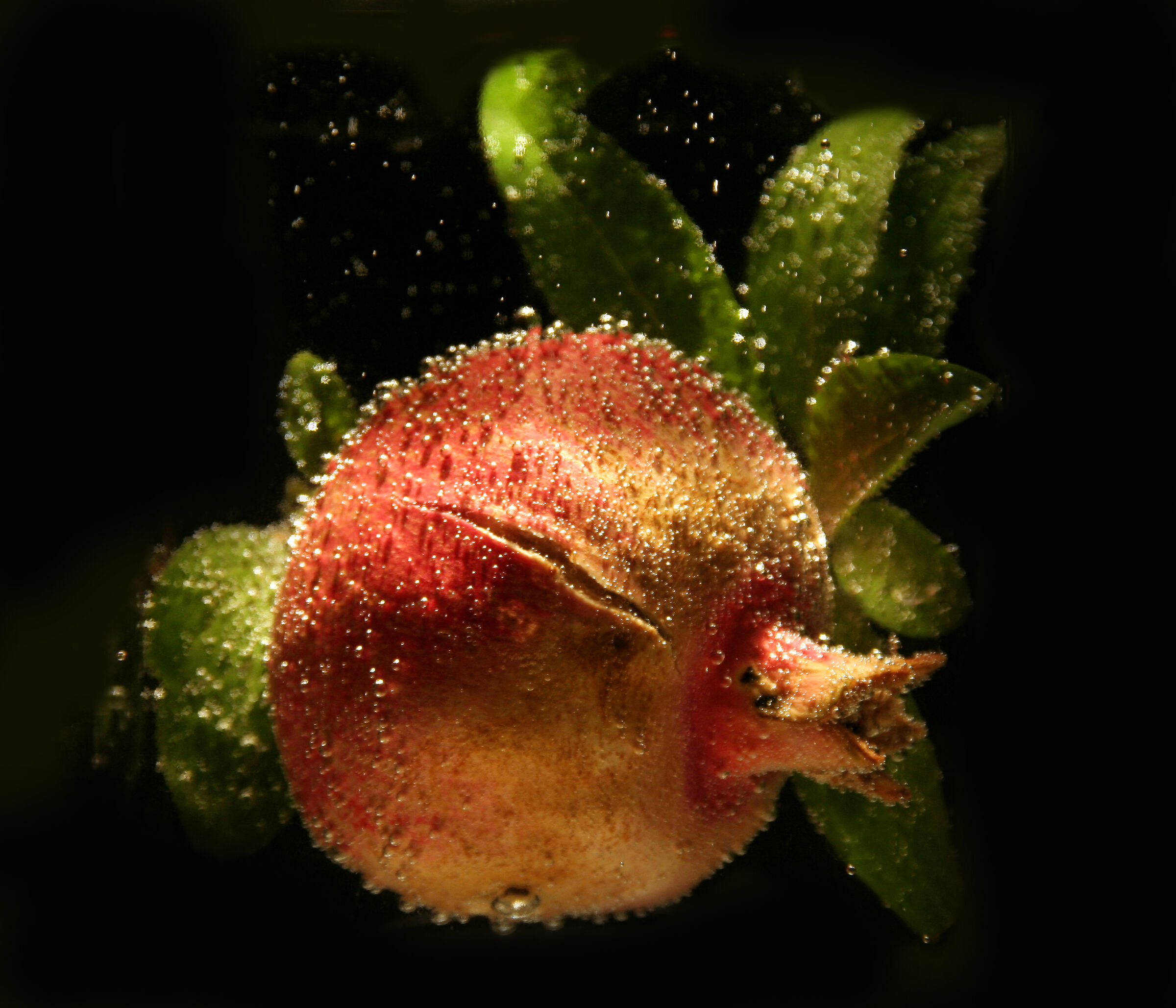 underwater pomegranate