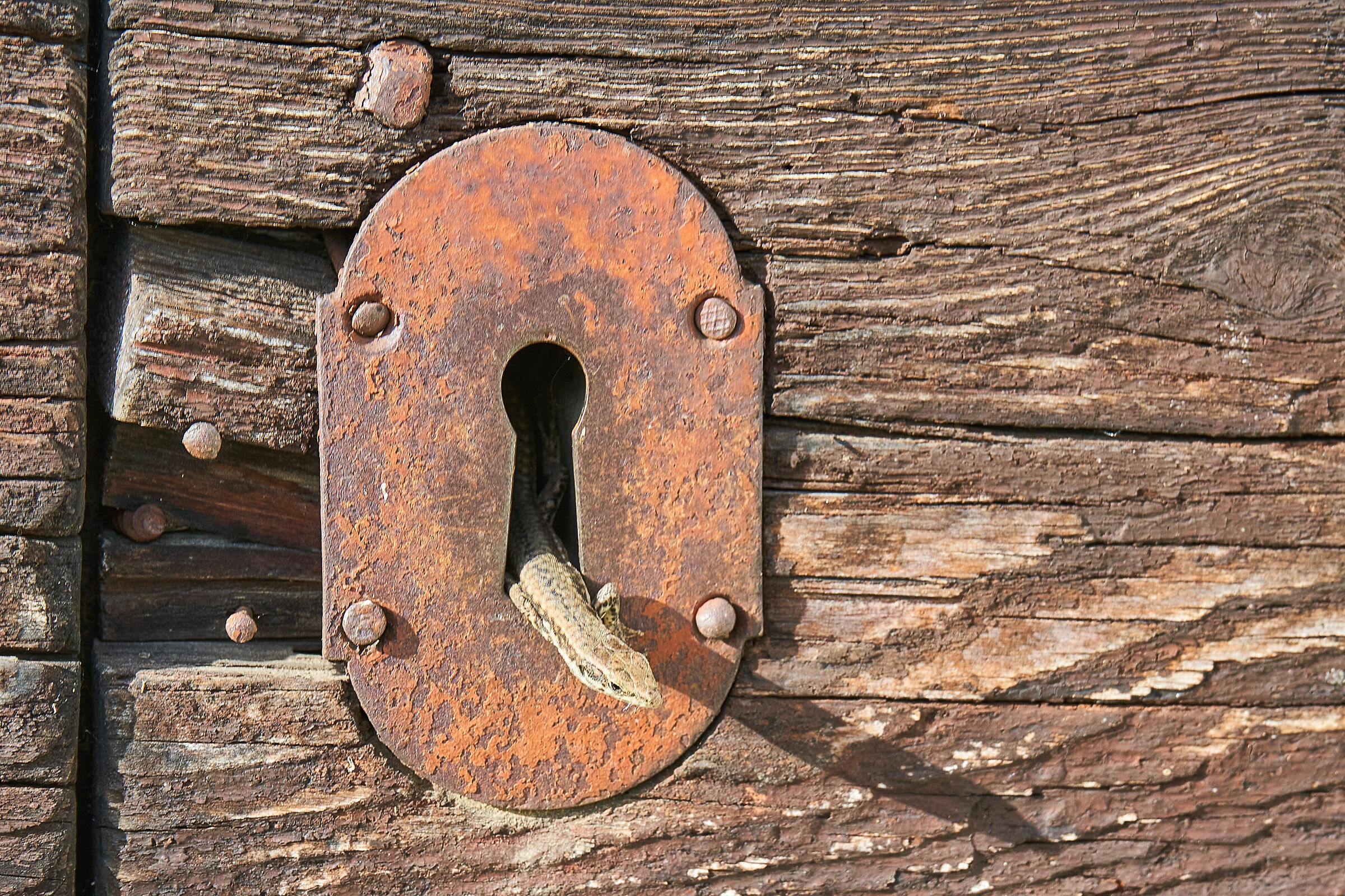 Step 2. Out? But, I think about it for a moment