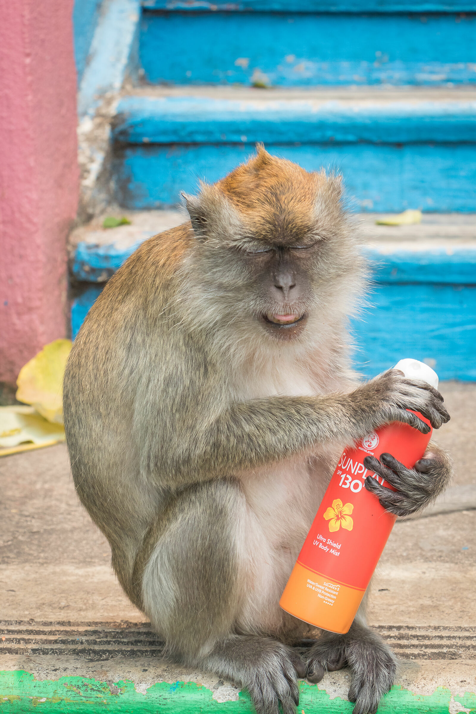 Ops.. maybe it wasn't cream spray!