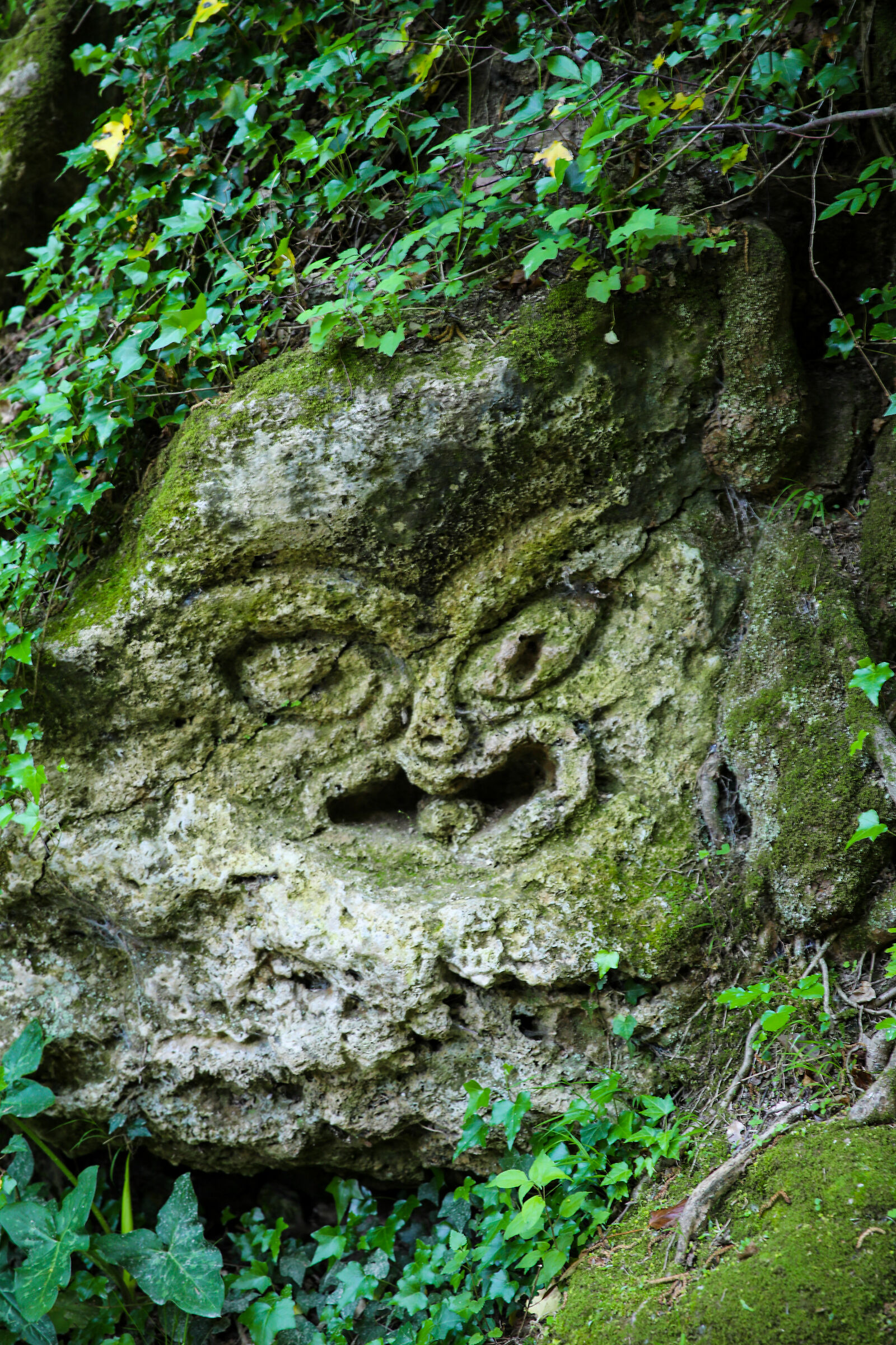 Face 7 "There Vurgacci"