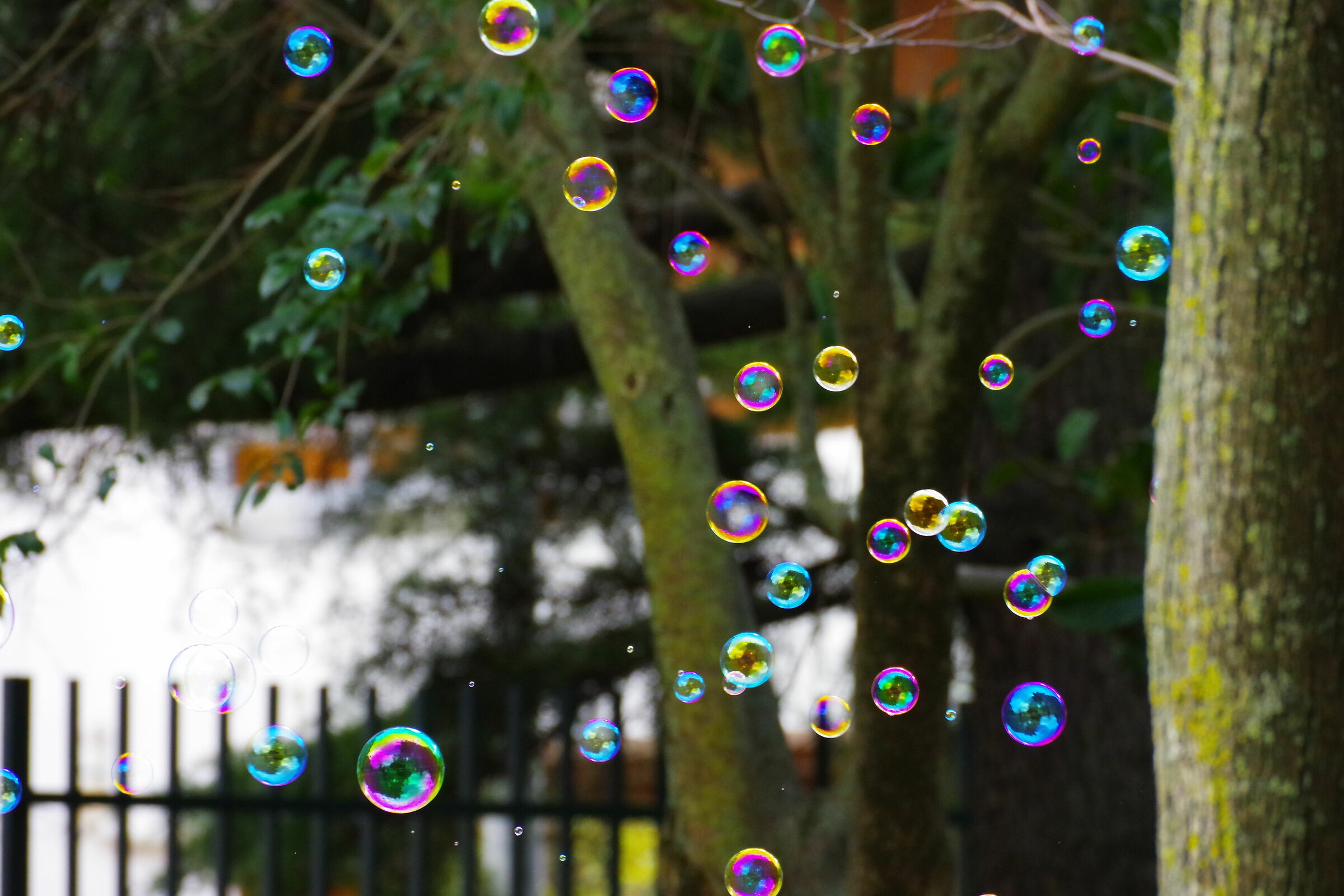 Who do we think we are?