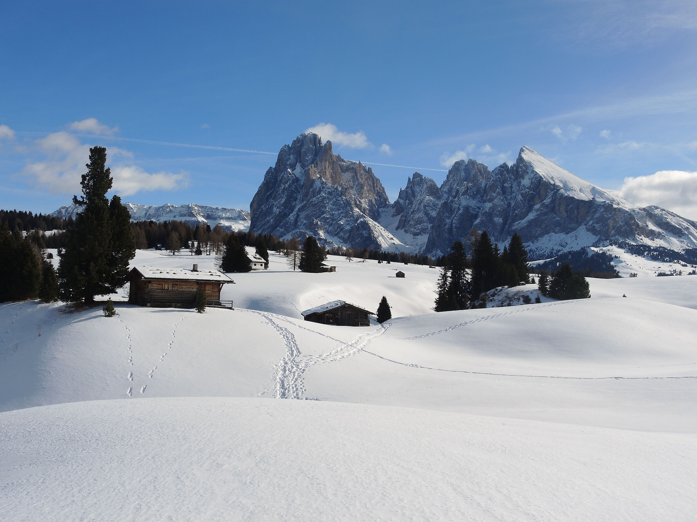 Alpe of Siusi