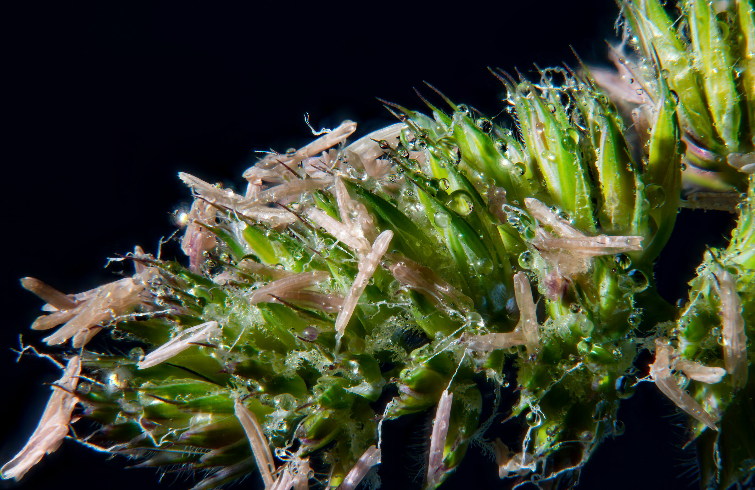 un casino pero' ha il suo perche'...