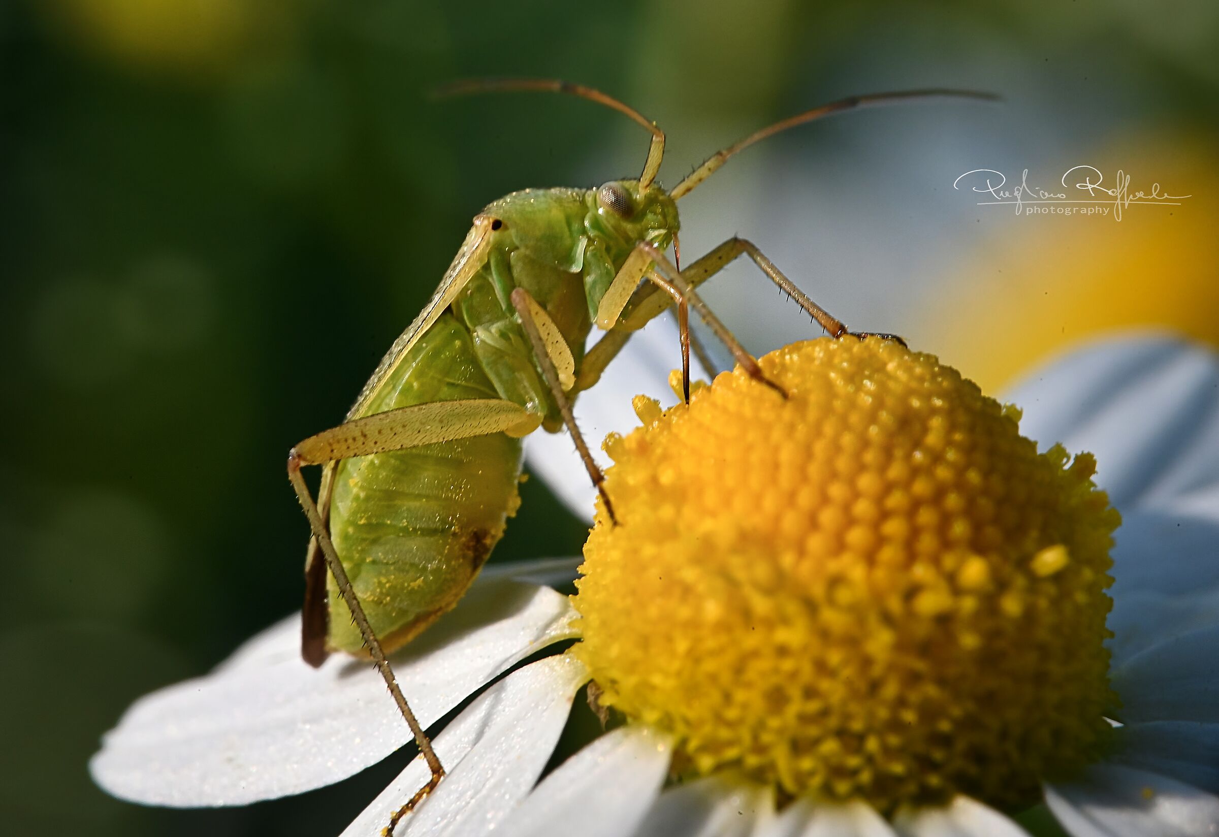 burst shot and it was all a movement ^_^