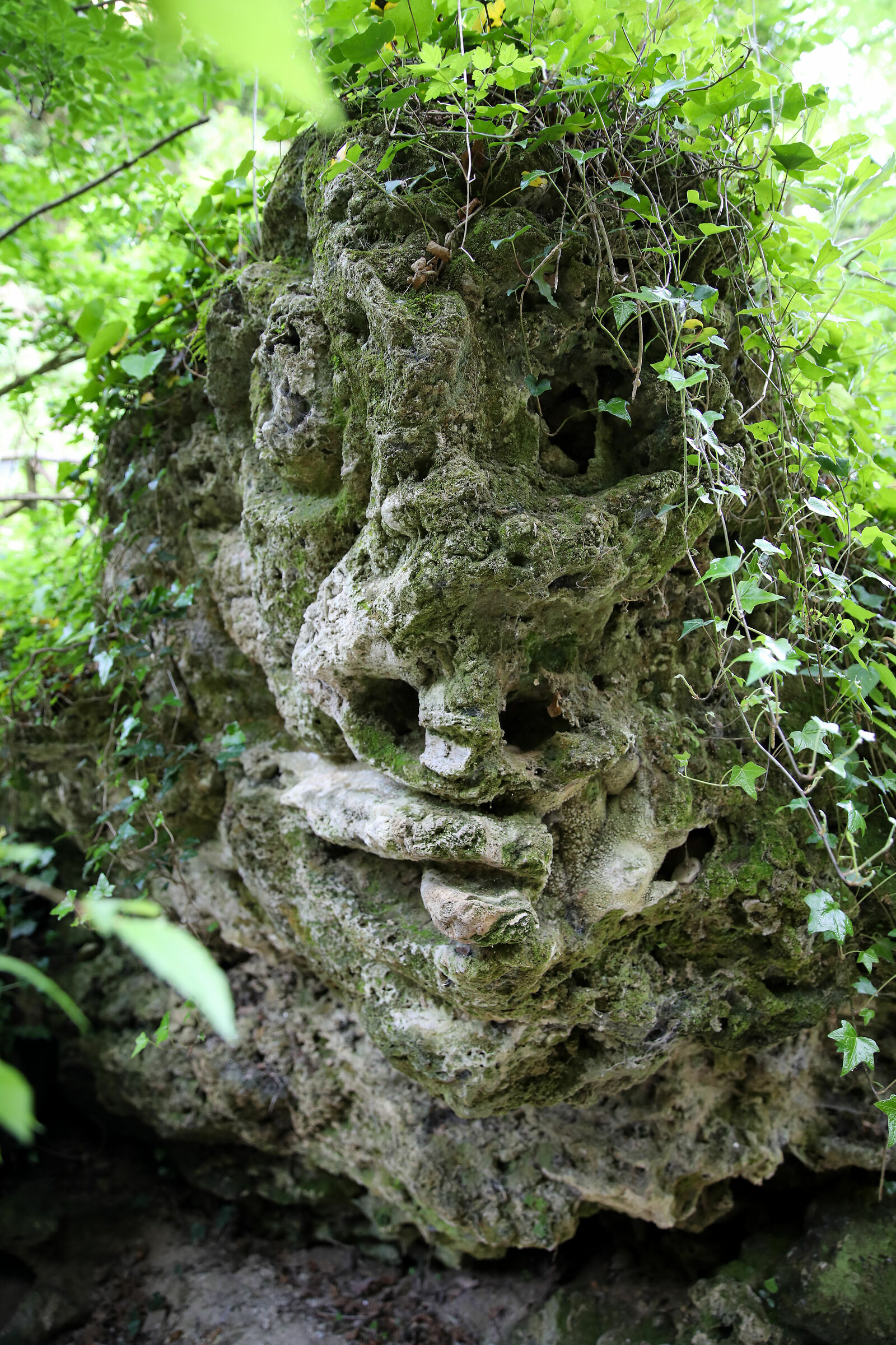 Face 9 "There Vurgacci"