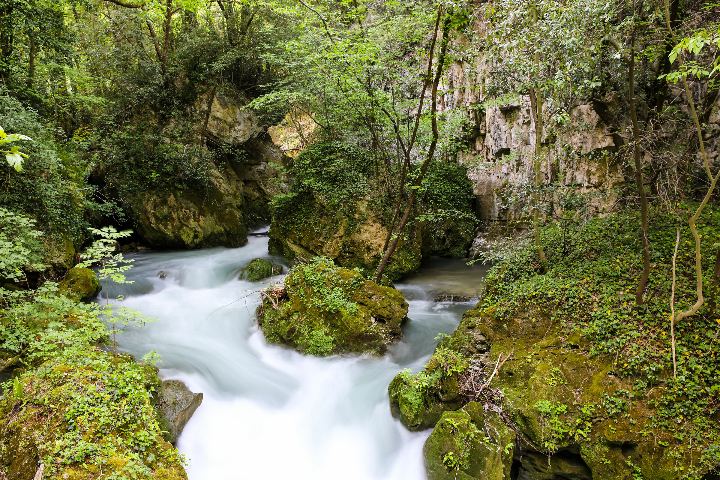 "There Vurgacci" rapids