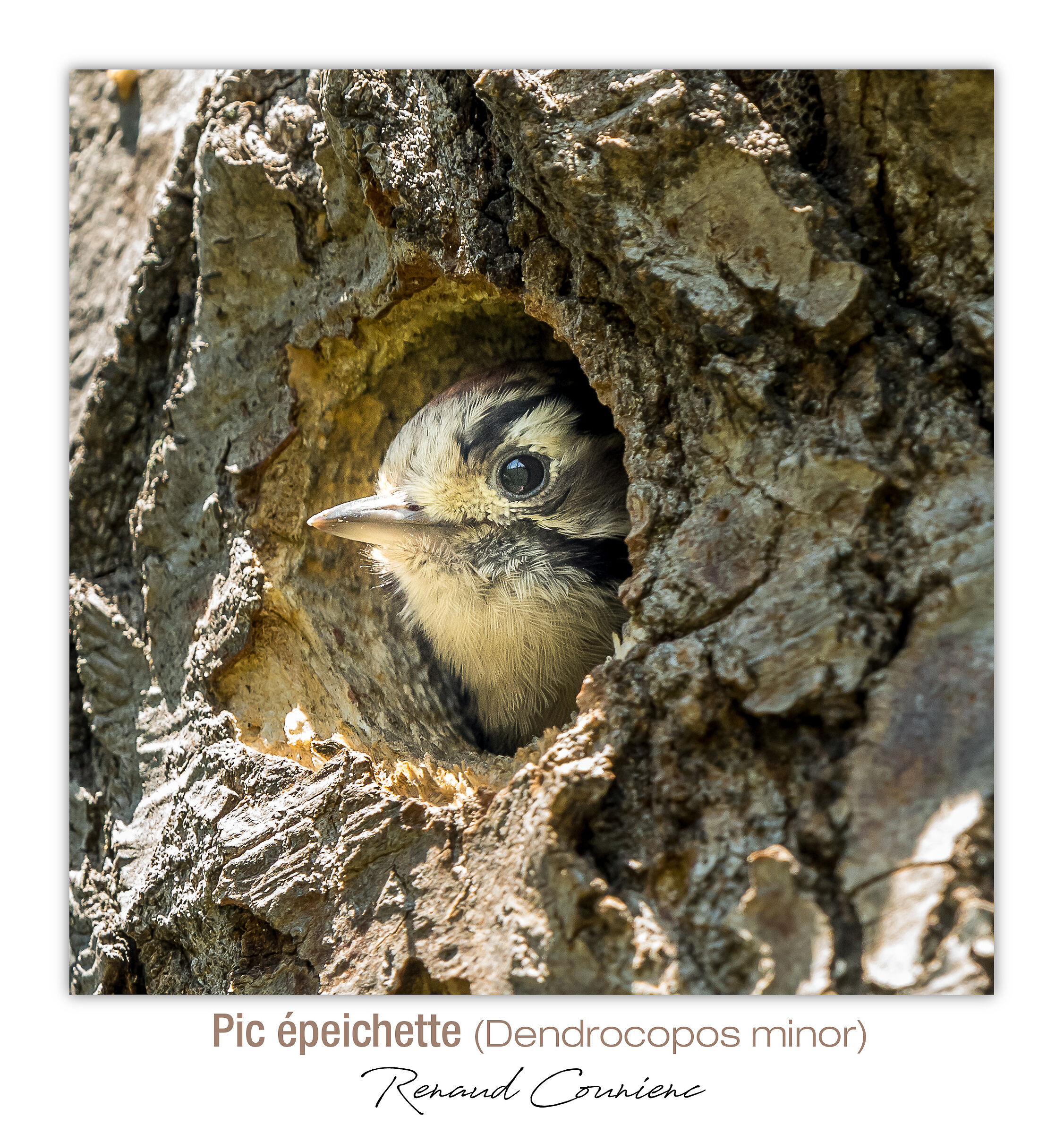 Un bambino sta aspettando il suo pasto