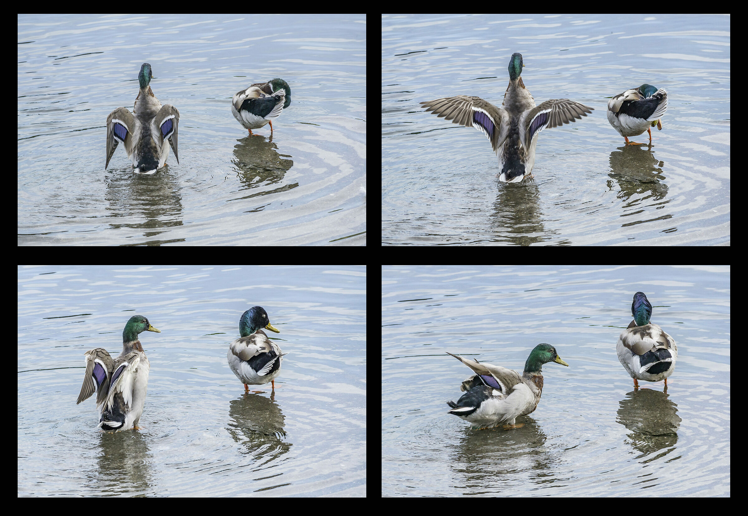 Sunday, May 17, 2020, 7:11 PM