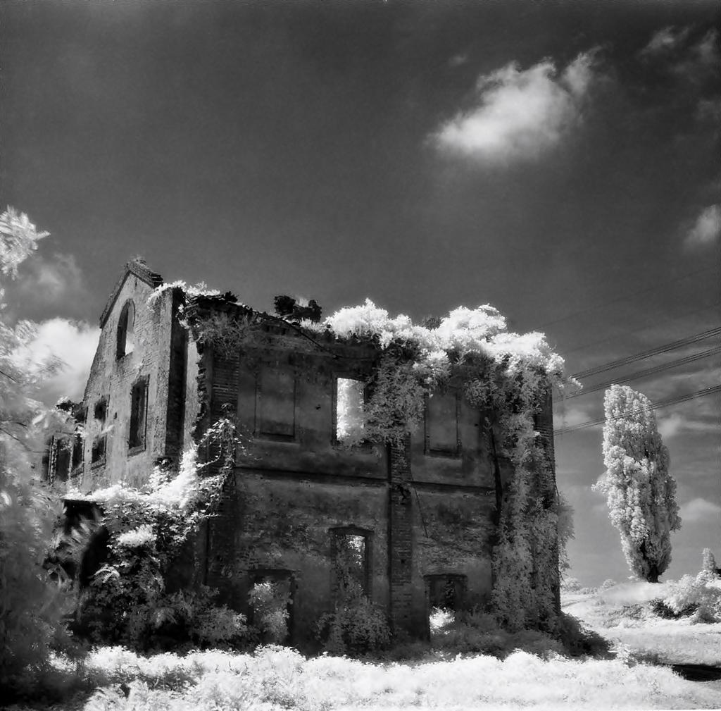 ... e i cocci sono suoi.  ;/)