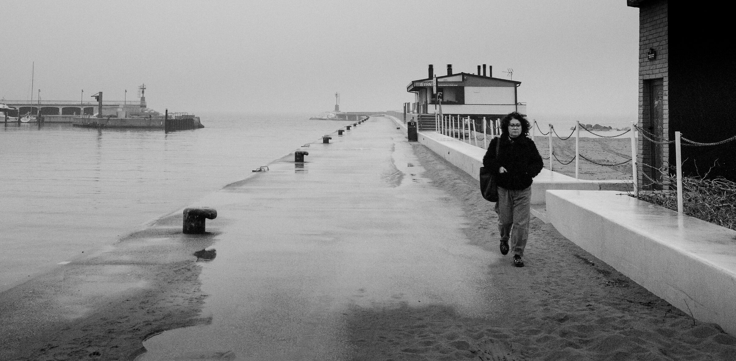 Winter on the Adriatic