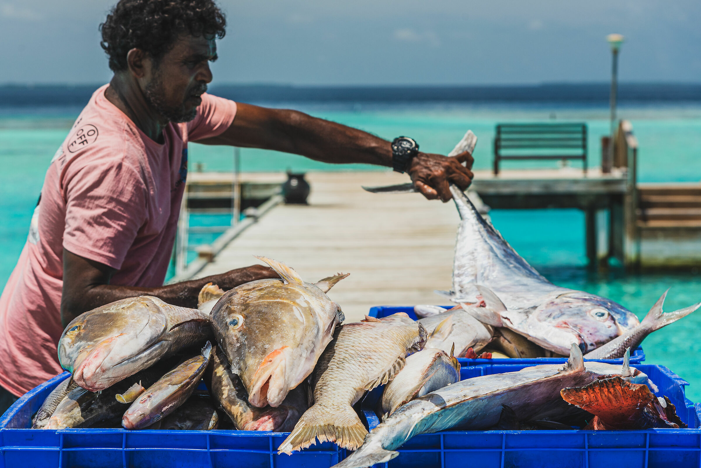 Maldive - Vakarufalhi