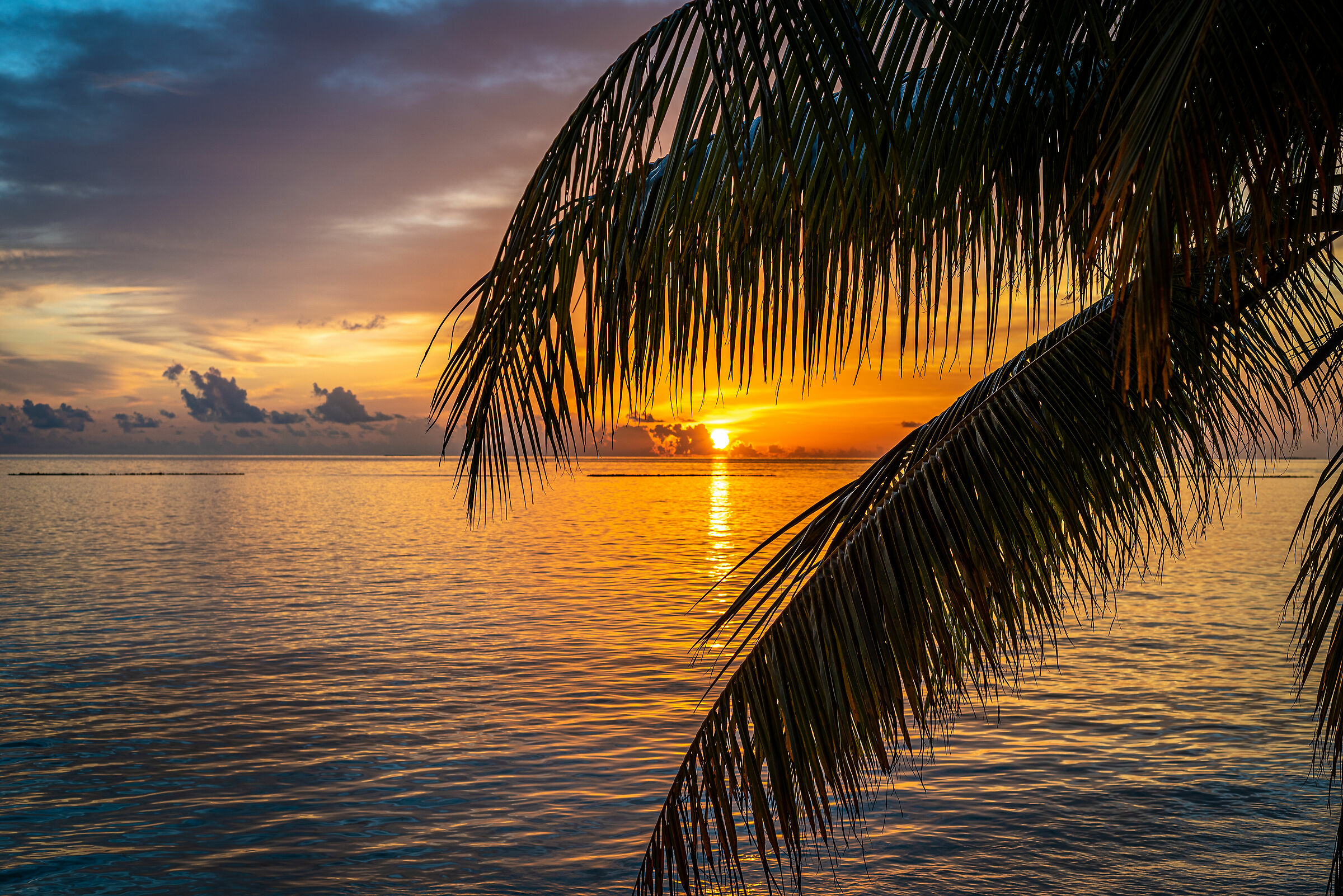 Maldive - Vakarufalhi