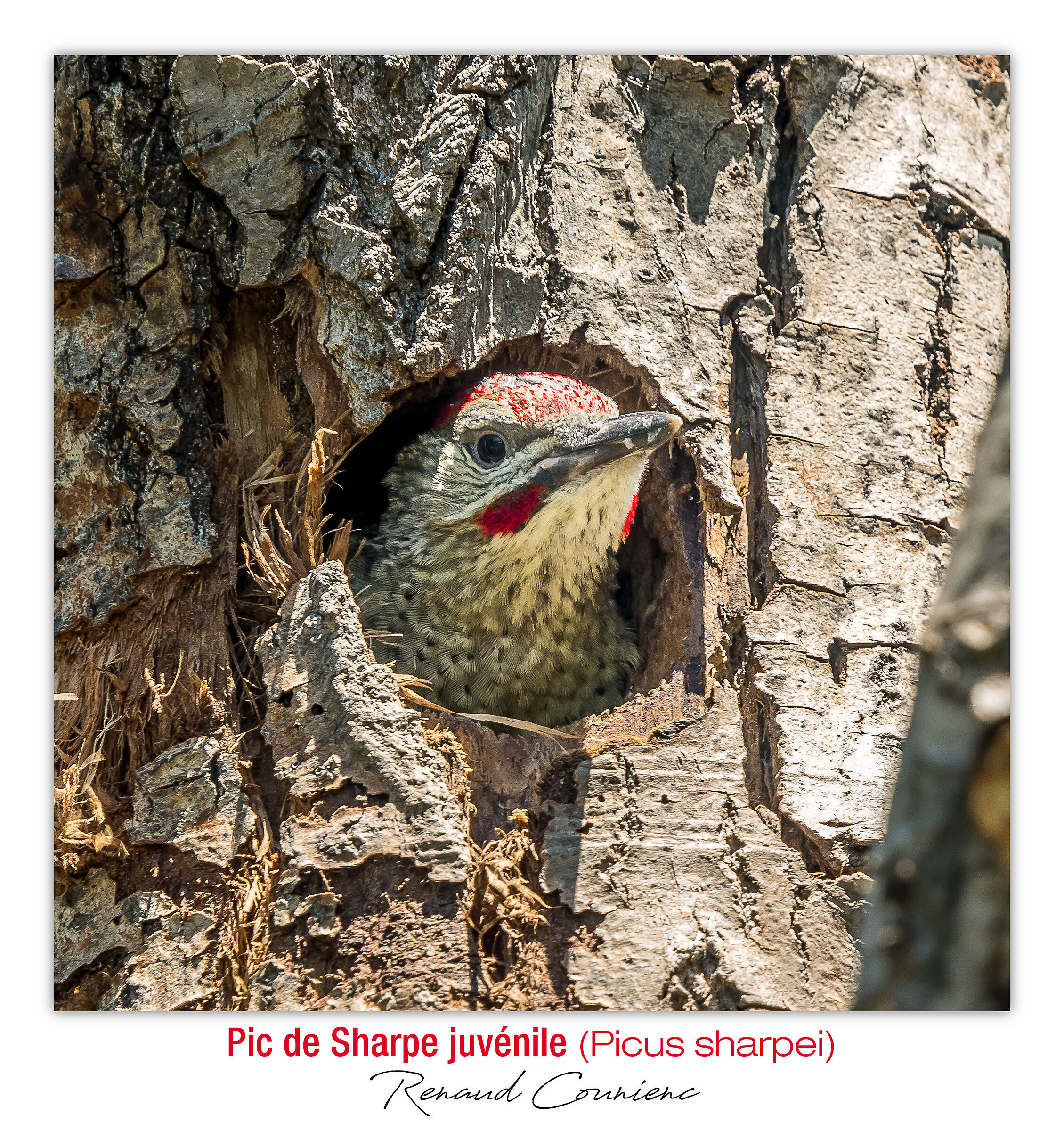 End of confinement soon