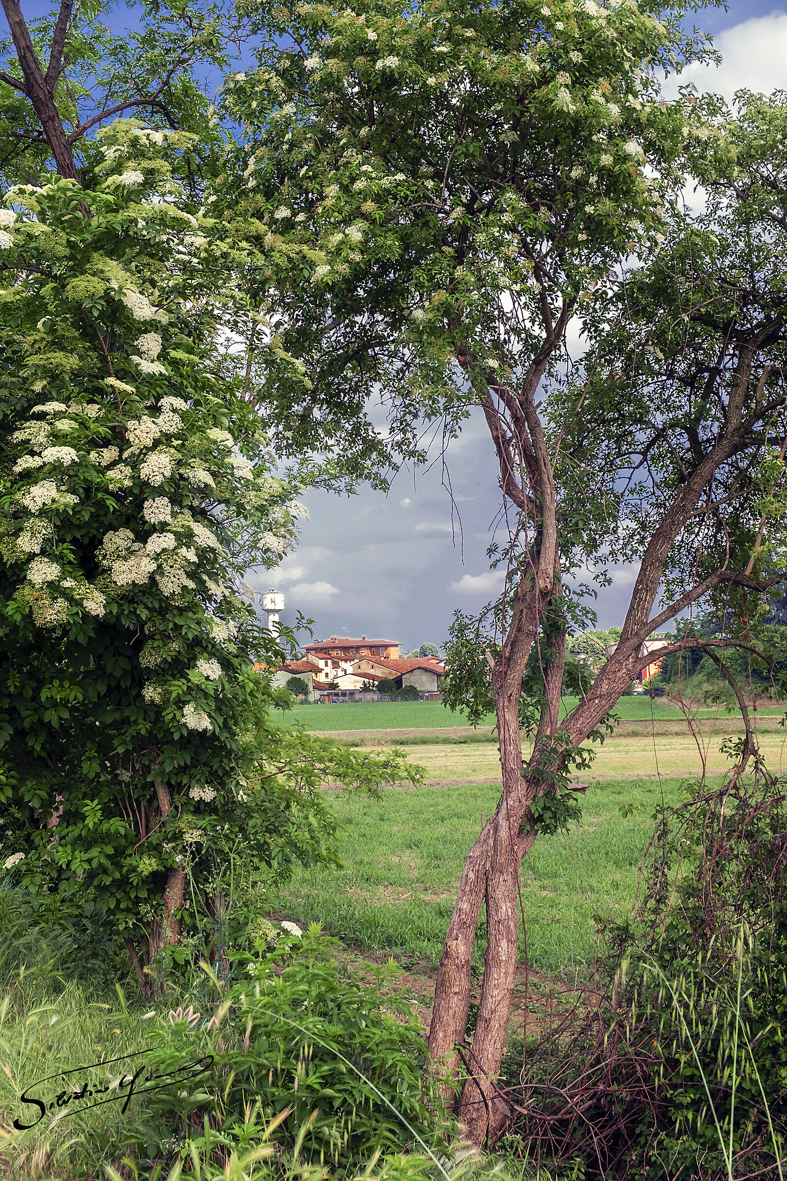 after the corona-virus