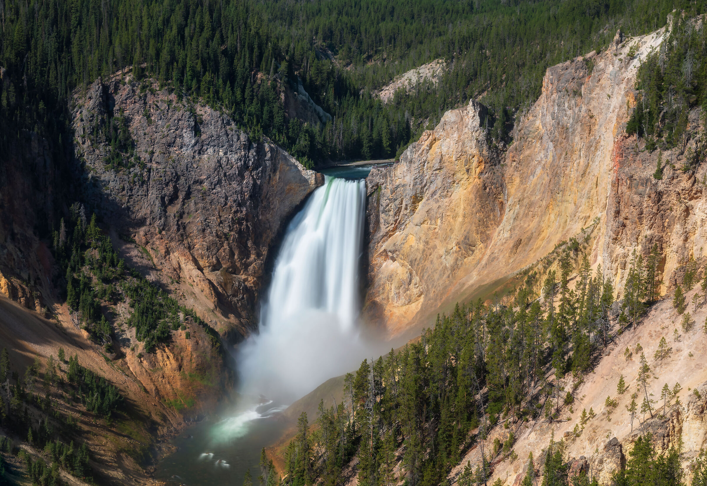 Lower Fall Yellowstone National Park