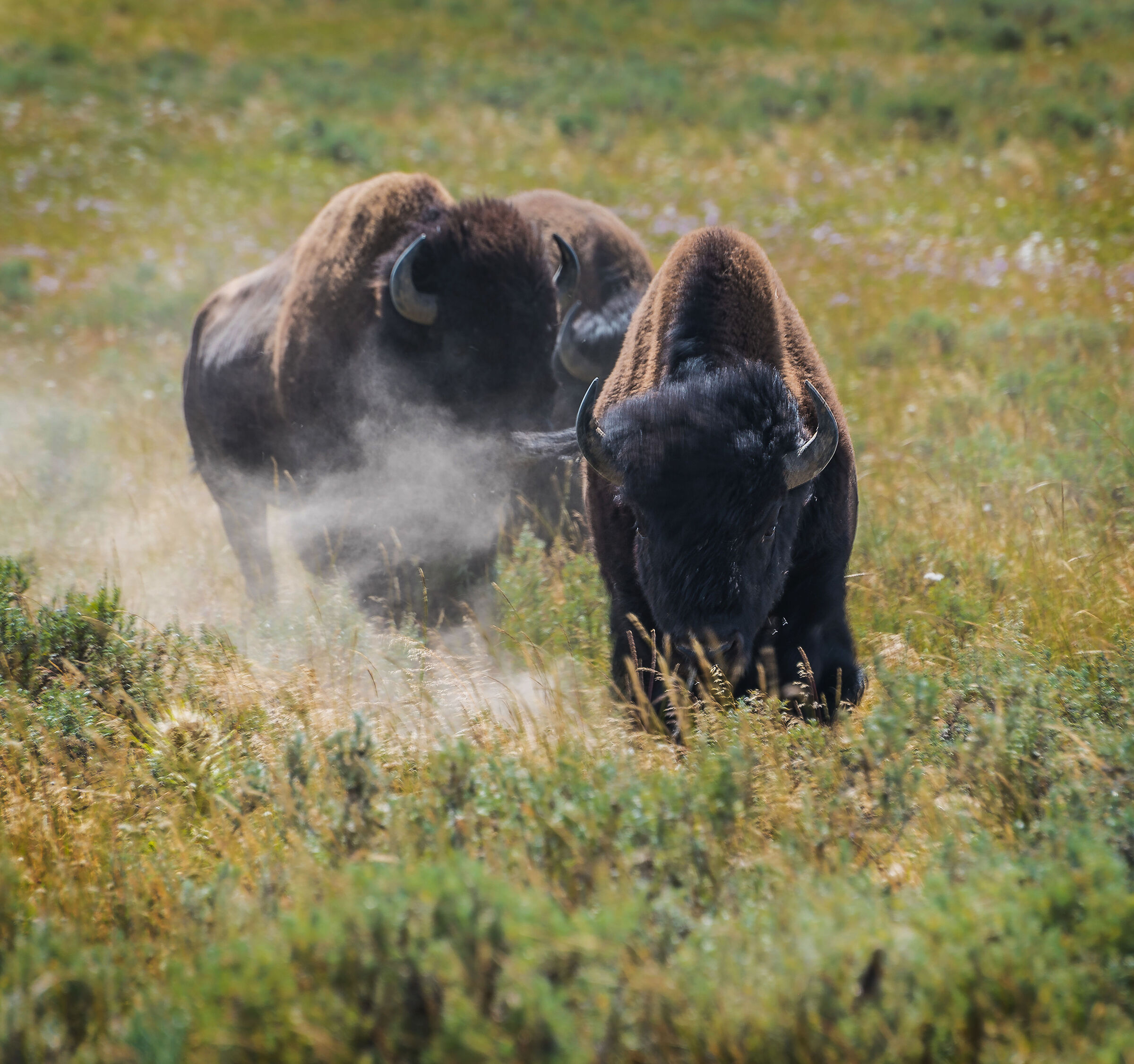 Potenza in movimento