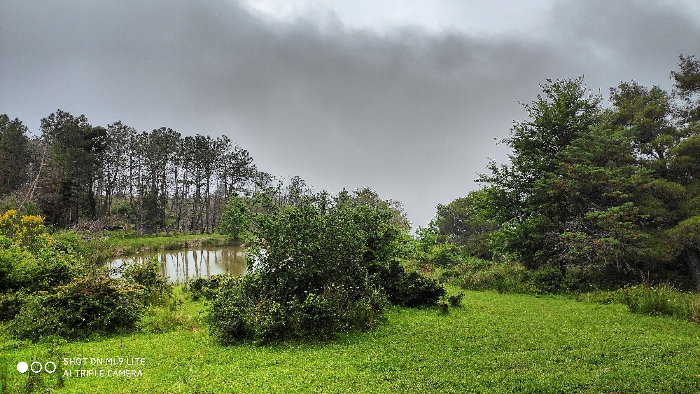 Il mio piccolo paradiso