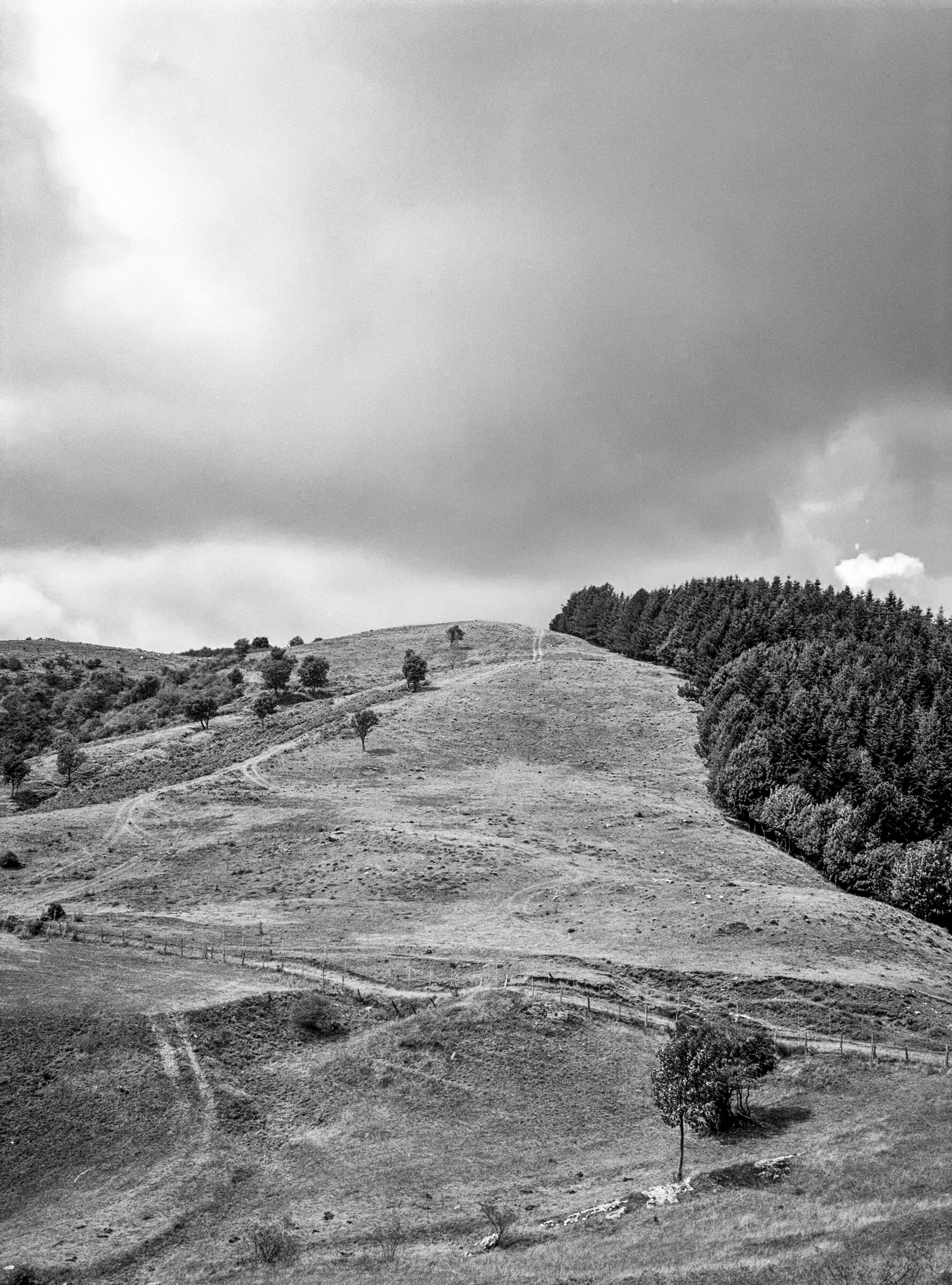 Nuvole, legno e silenzio 2