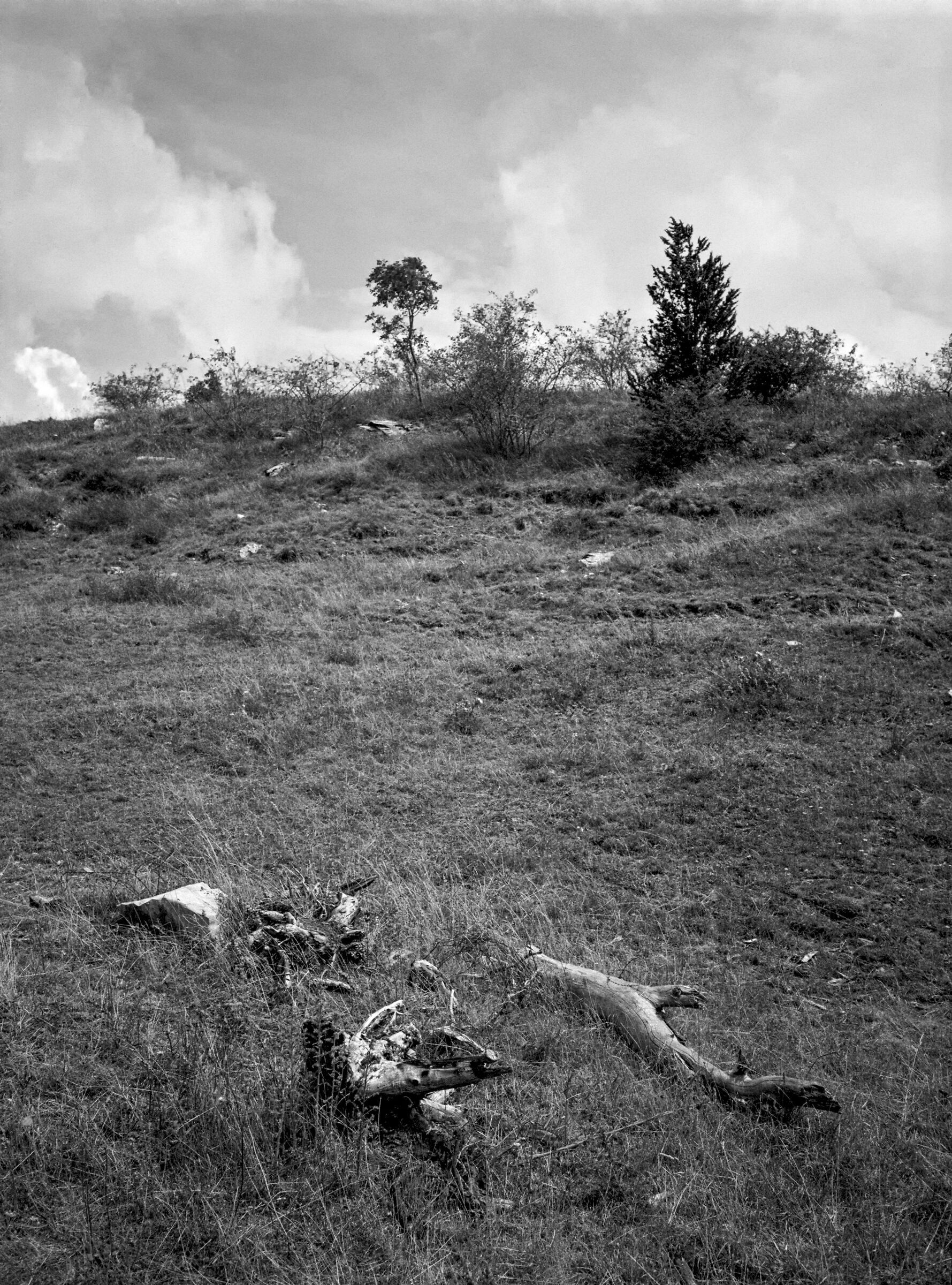 Nuvole, legno e silenzio 5