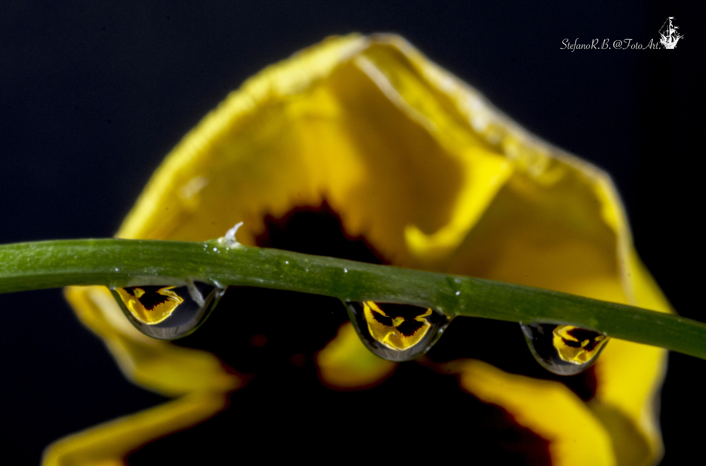 Drops and Reflections