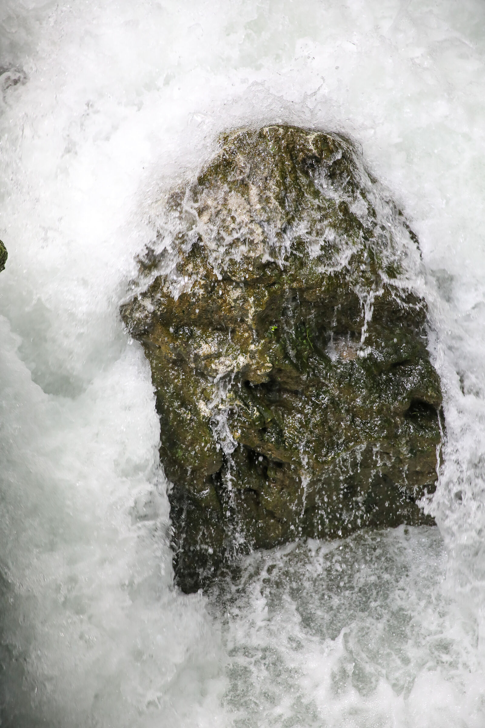 Face 10 "There Vurgacci"