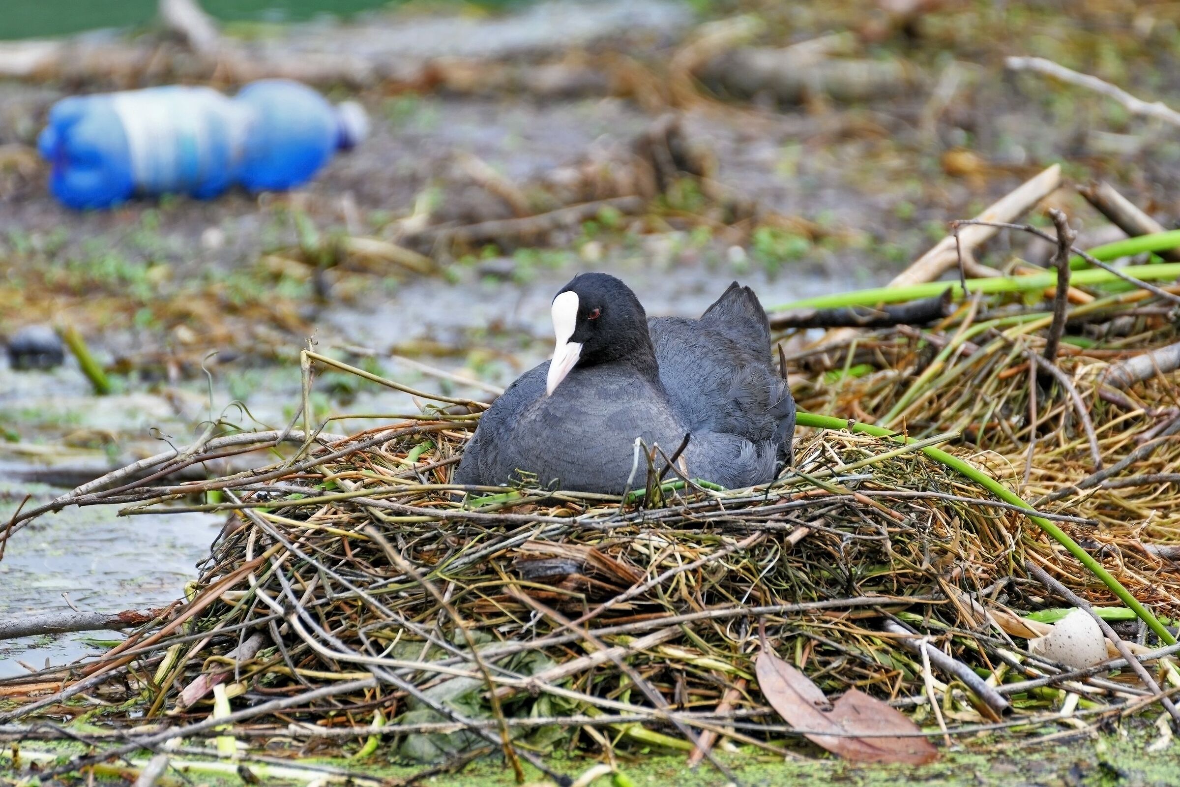 Natura quasi incontaminata